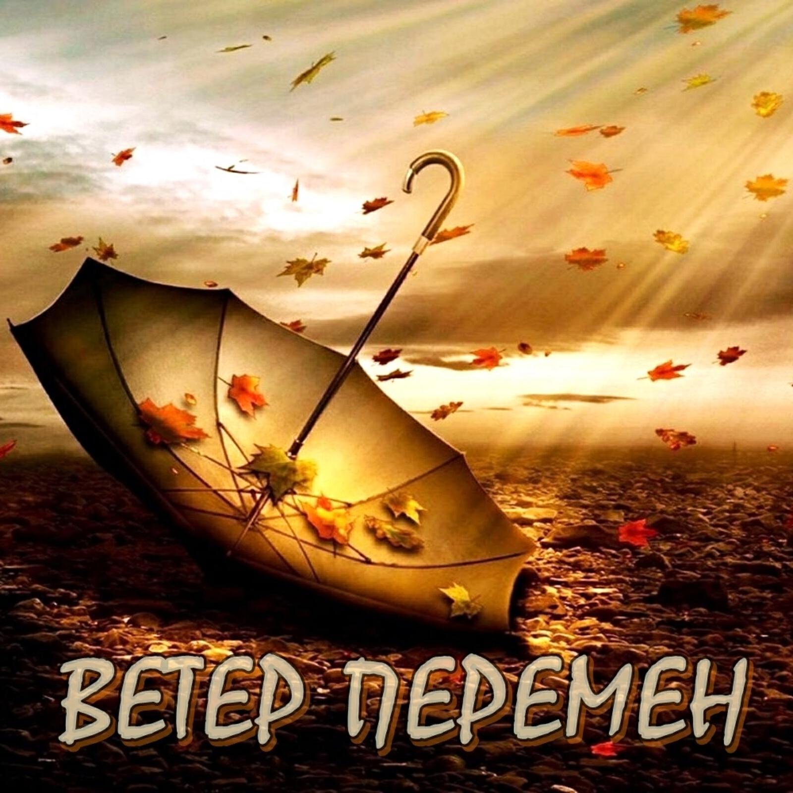 Обложка артиста