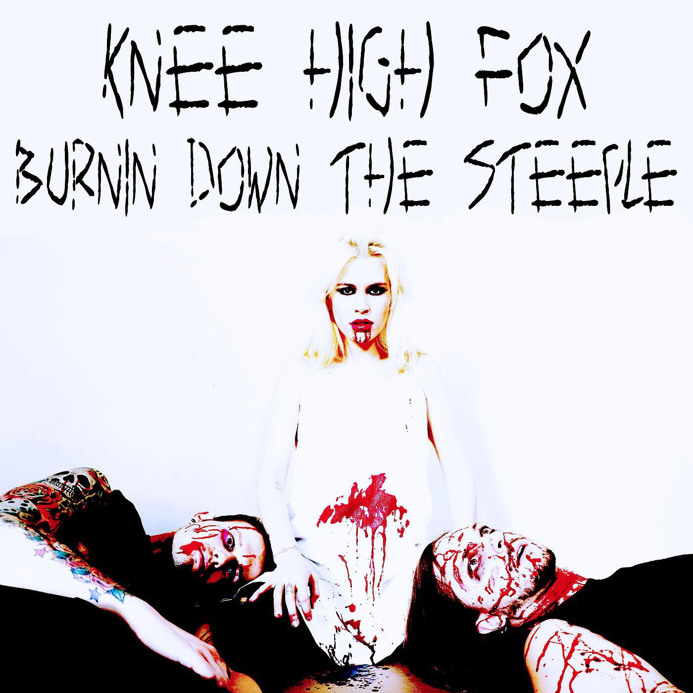 Постер альбома Burnin Down the Steeple