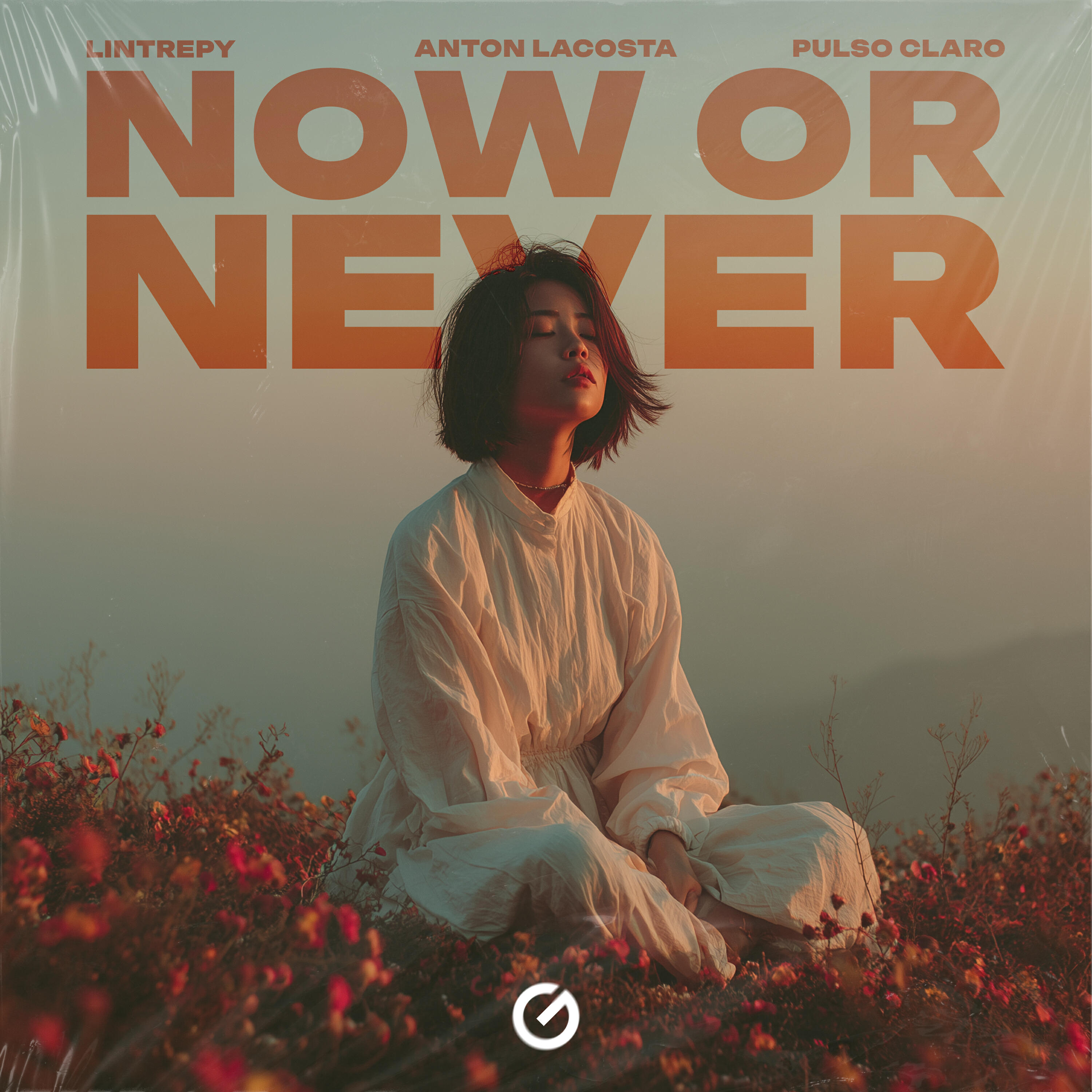 Релиз Now Or Never