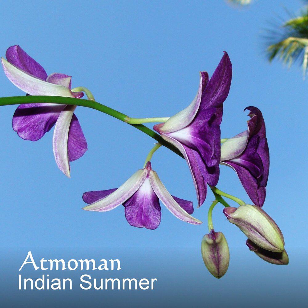 Релиз Indian Summer