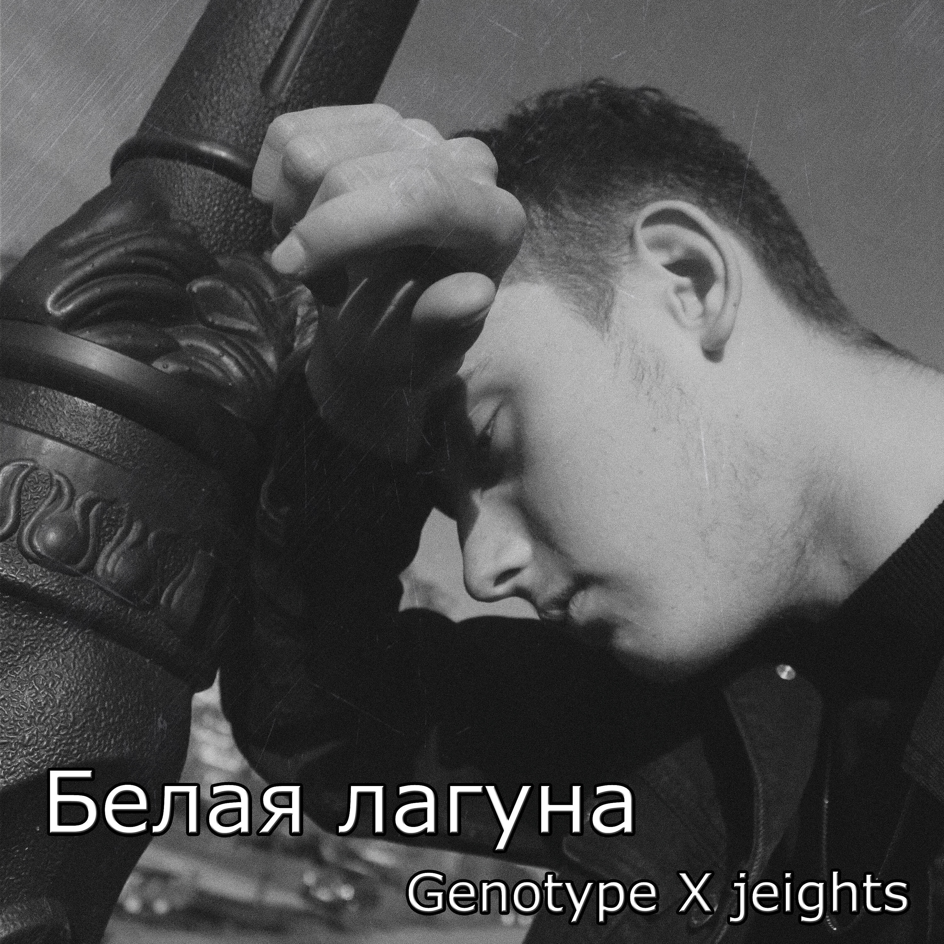 jeights