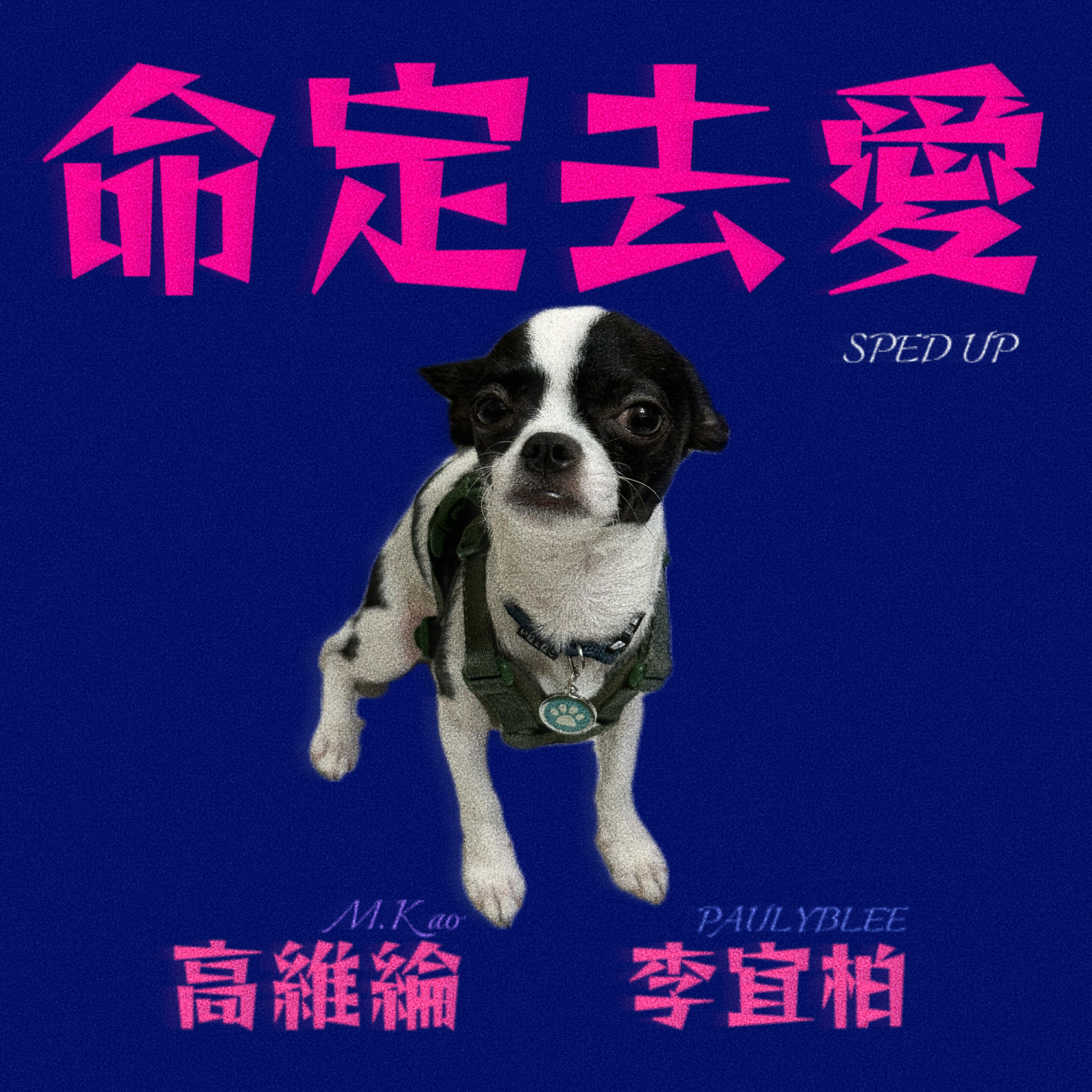 Релиз 命定去愛SPED UP