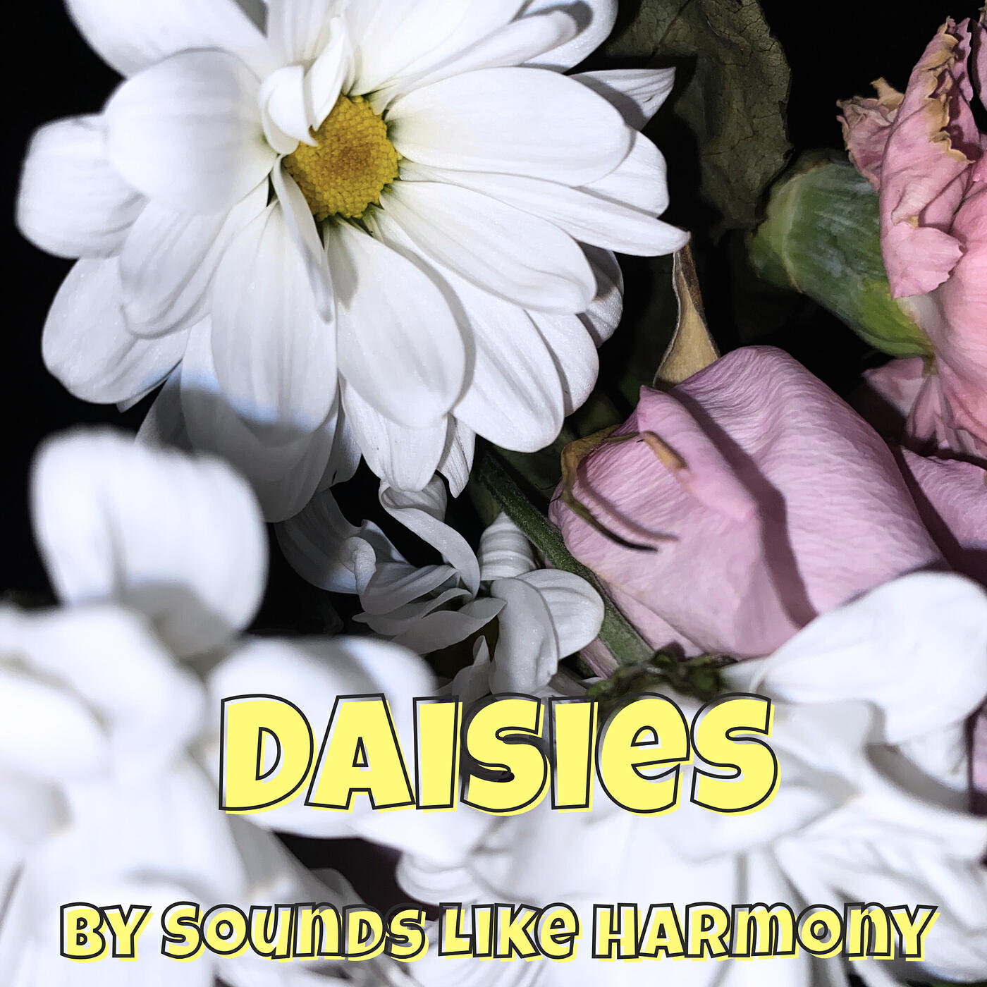Релиз Daisies