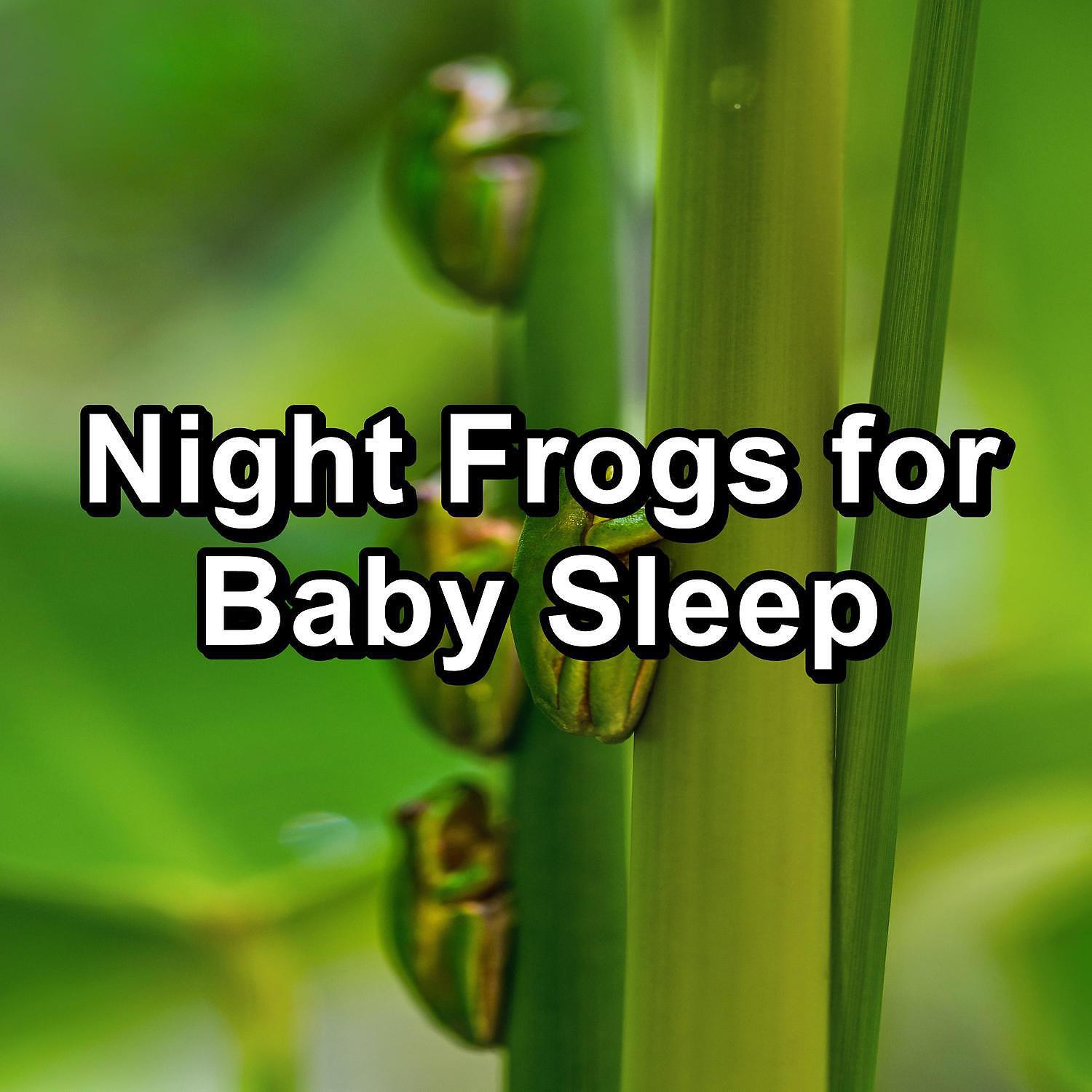 Релиз Night Frogs for Baby Sleep