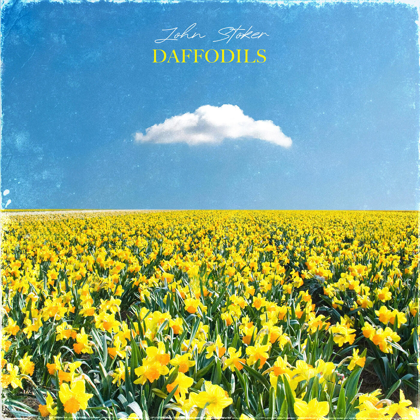 Постер альбома Daffodils
