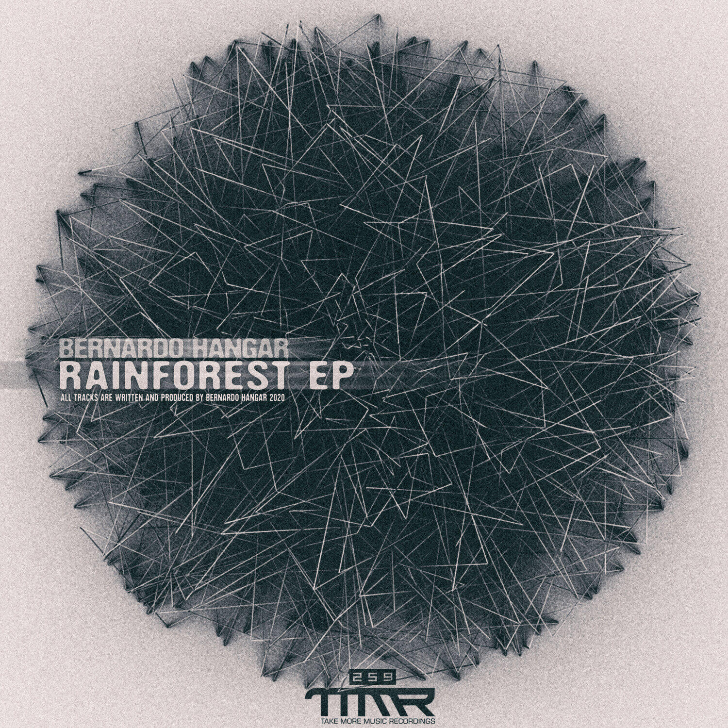 Релиз Rainforest