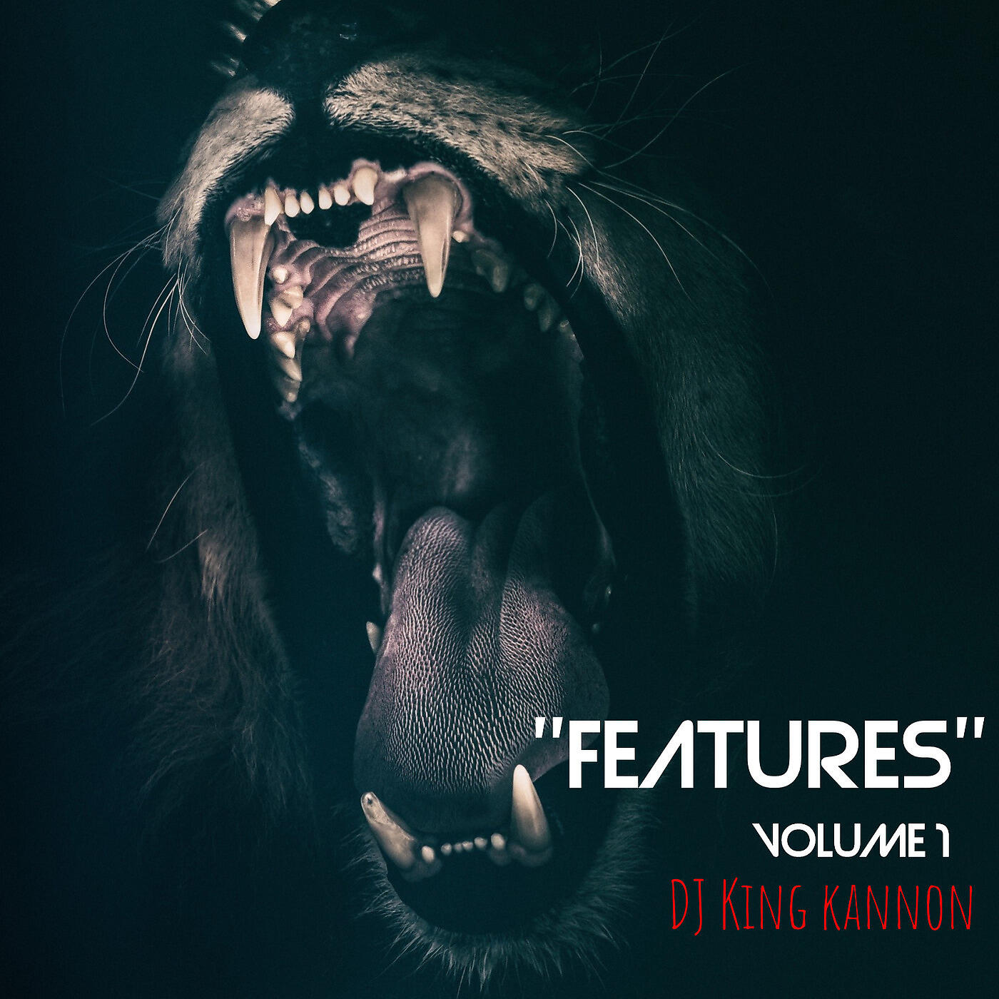 DJ King Kannon