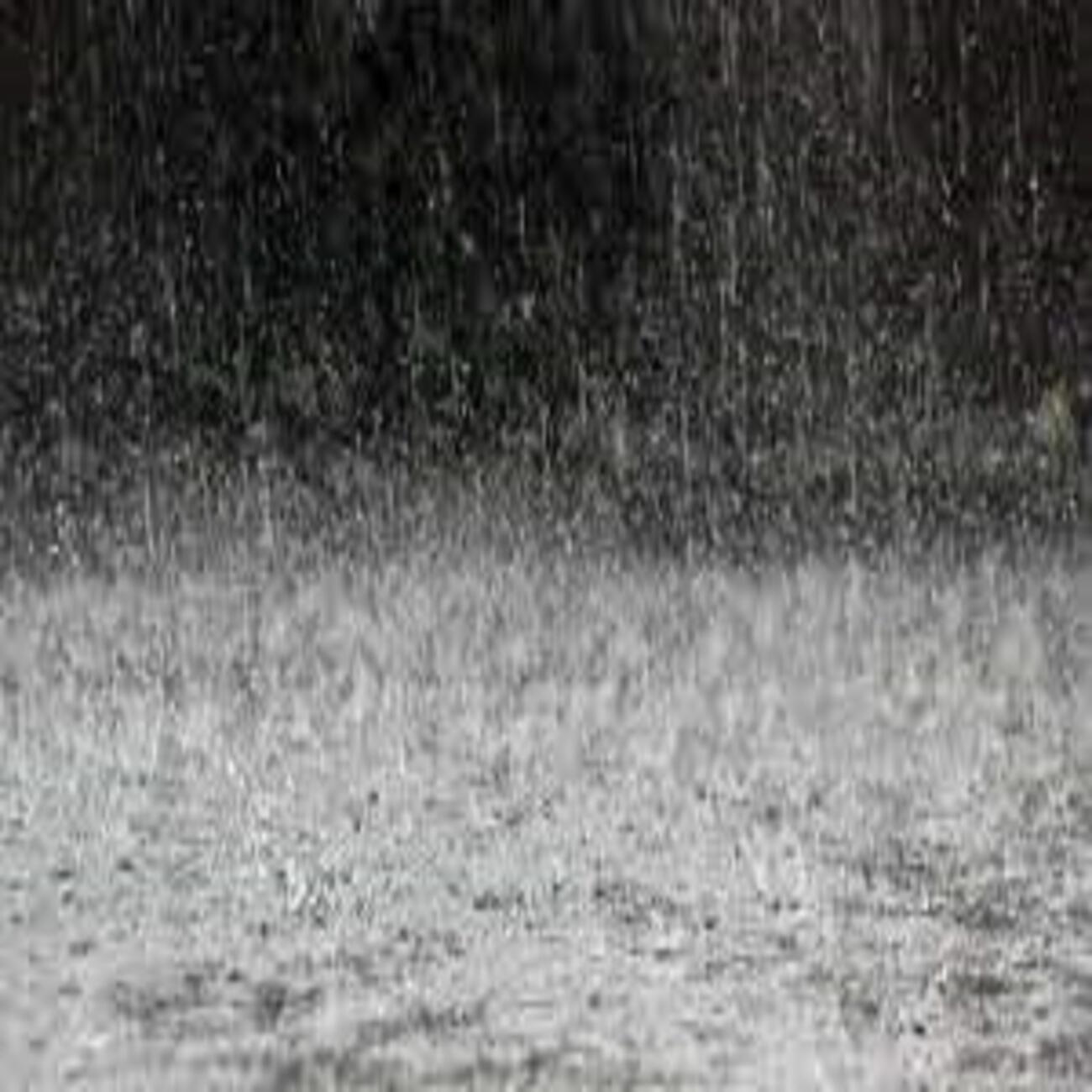 Релиз Gentle Rains