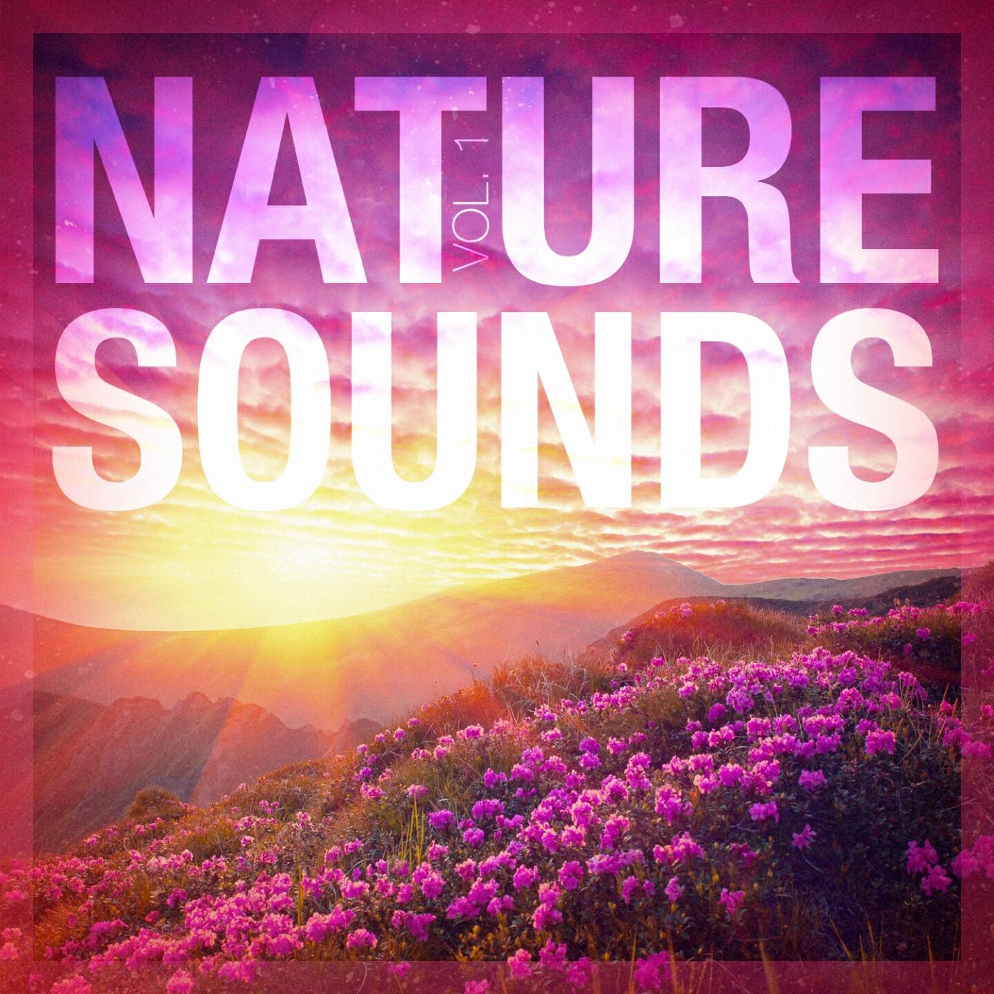 Релиз Nature Sounds, Vol. 1
