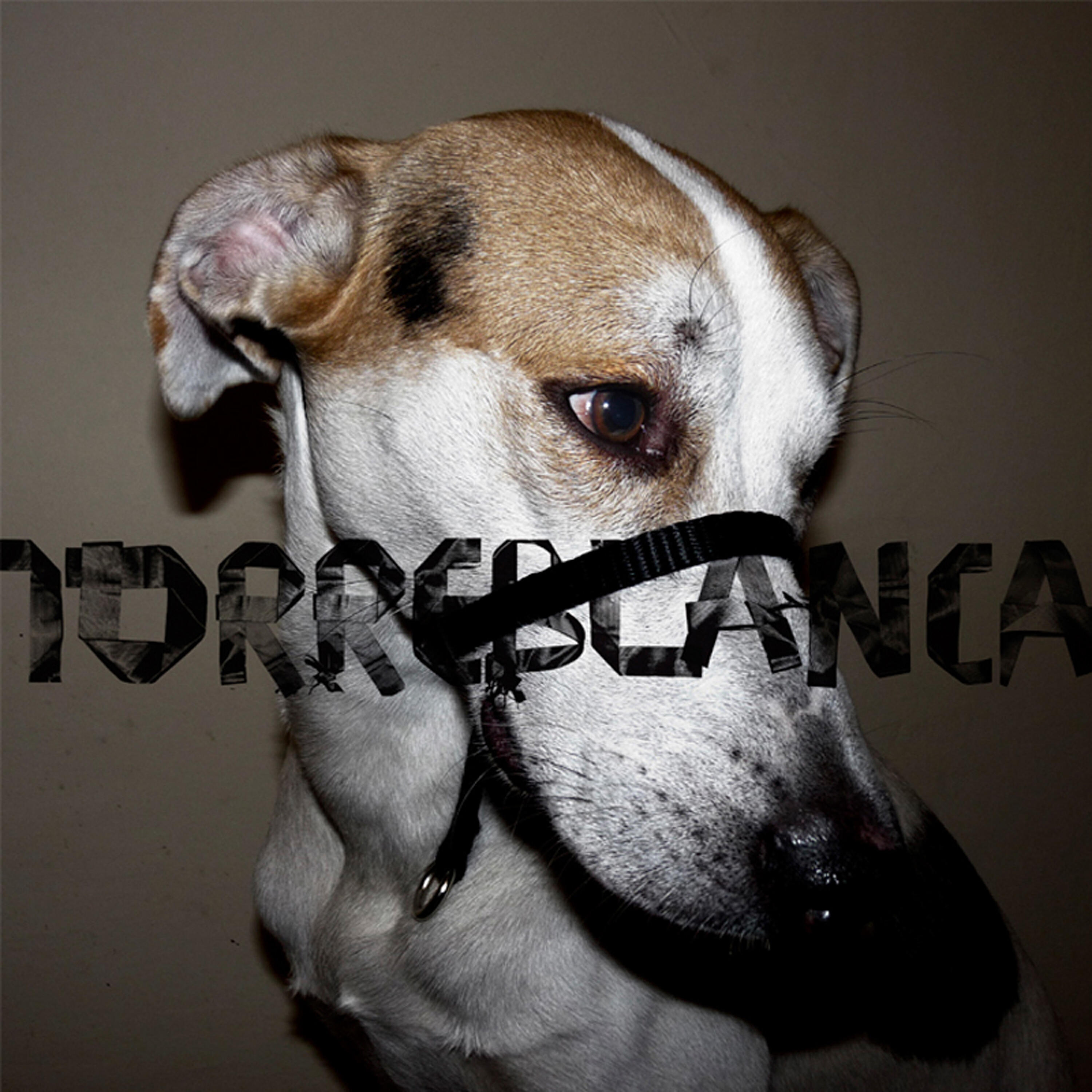Релиз Defensa