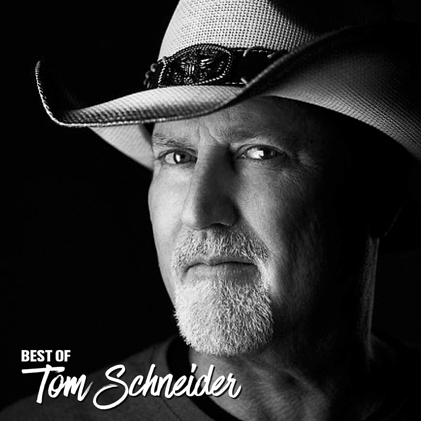 Релиз Best of Tom Schneider