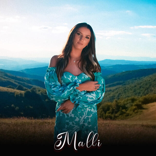 Релиз Malli