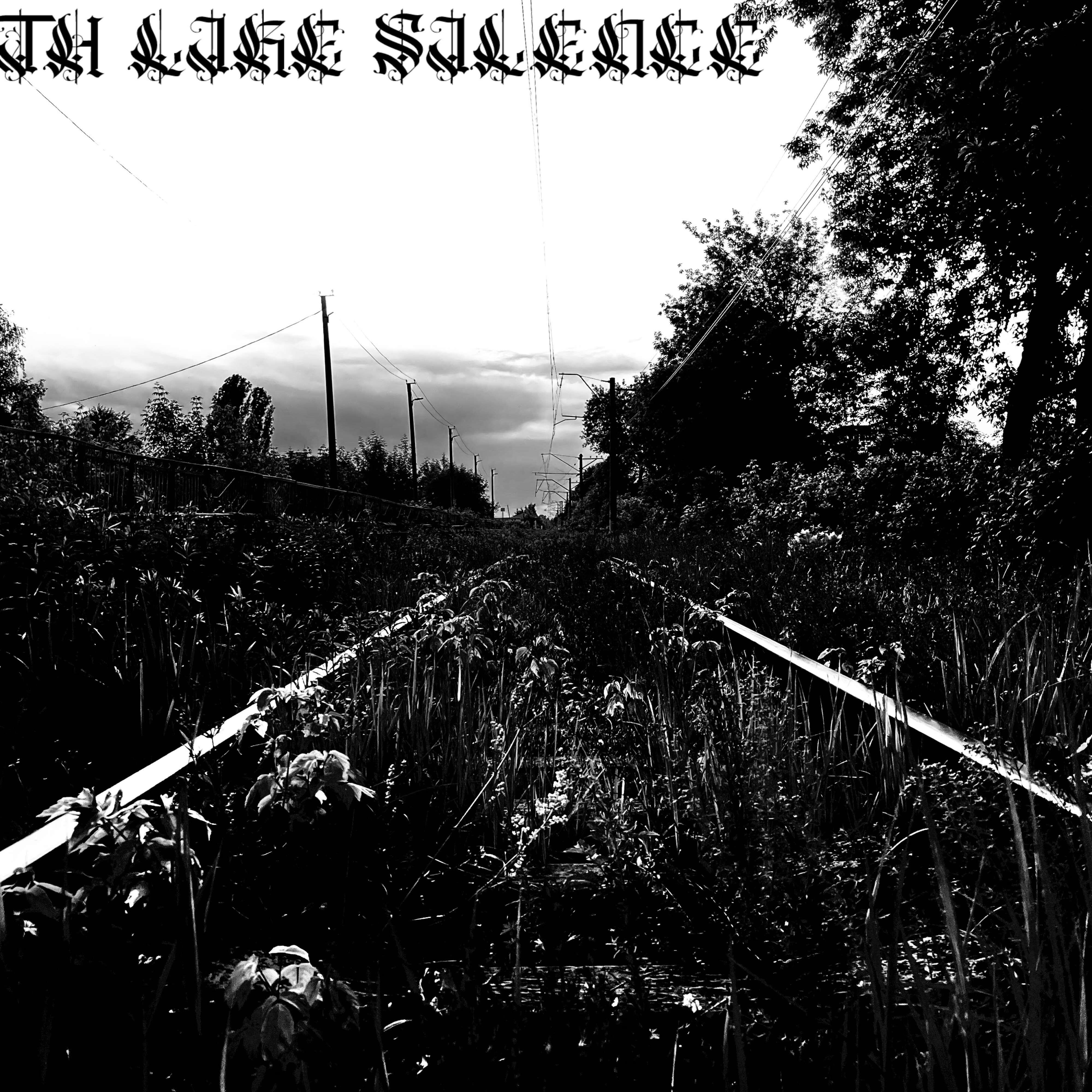 Релиз The instinct of self-destruction