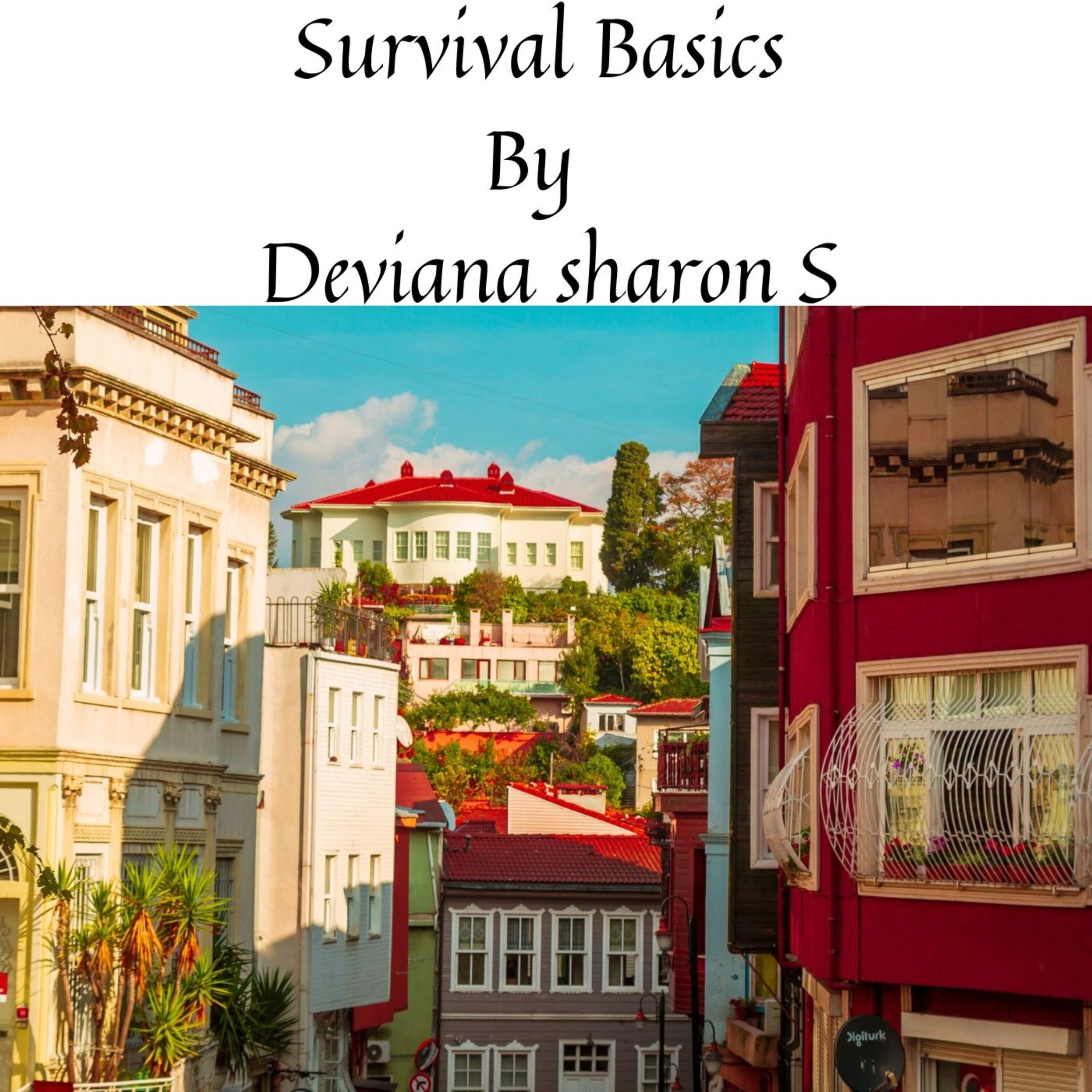 Релиз Survival Basics
