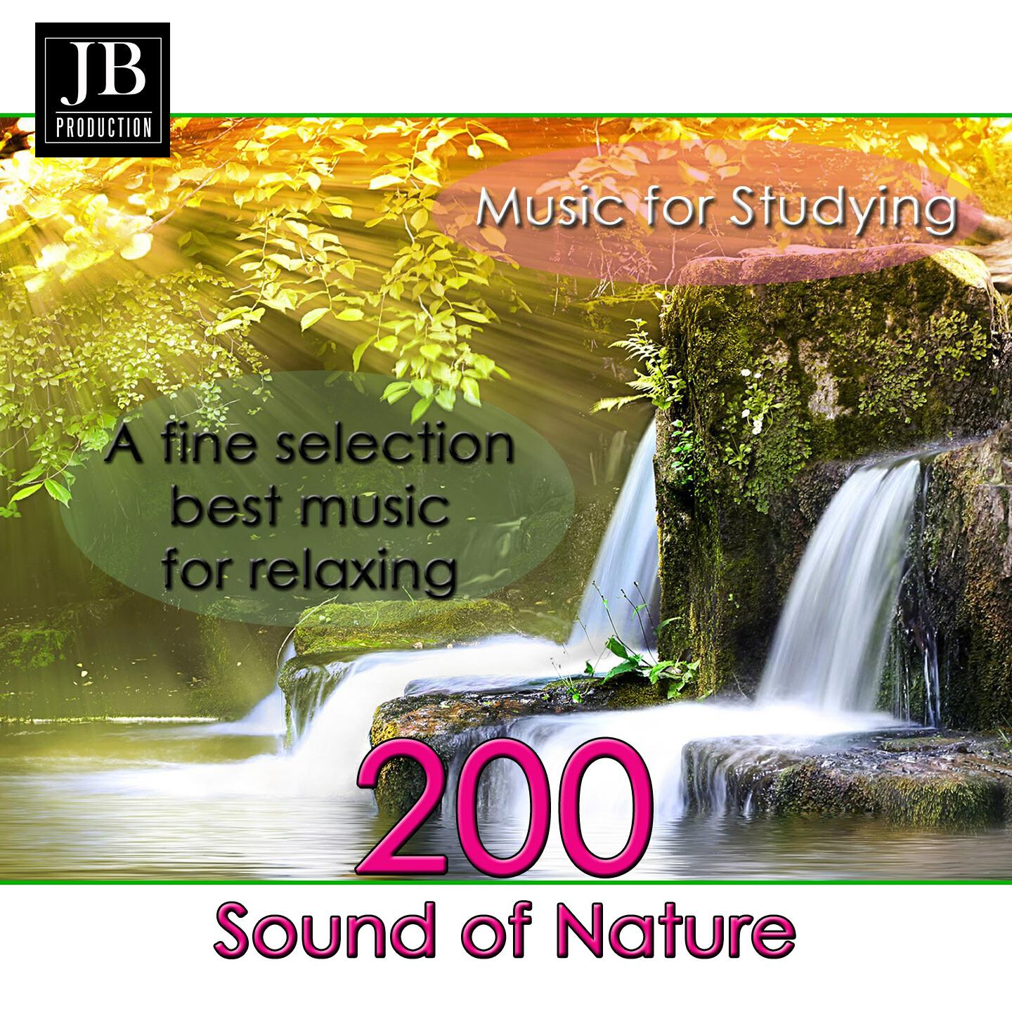 Релиз 200 Music for Studyng (Sound of Nature)