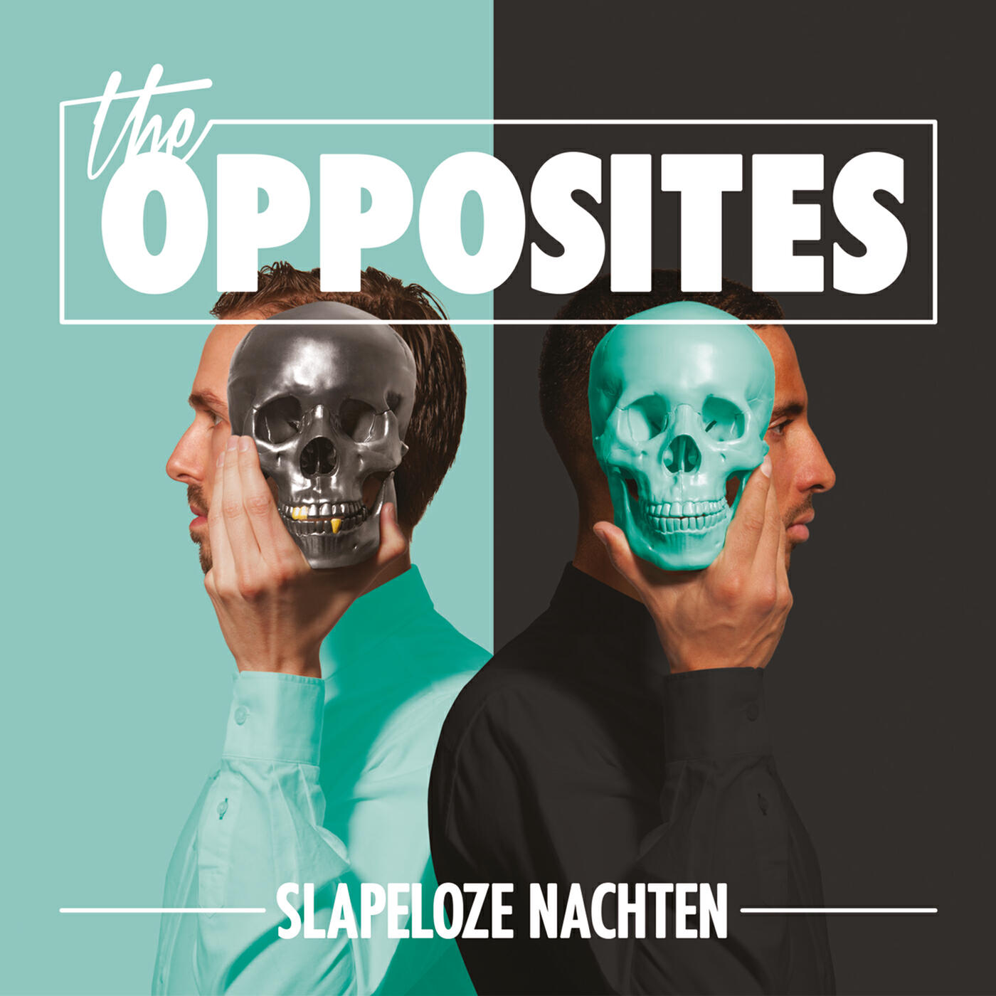 Релиз Slapeloze Nachten