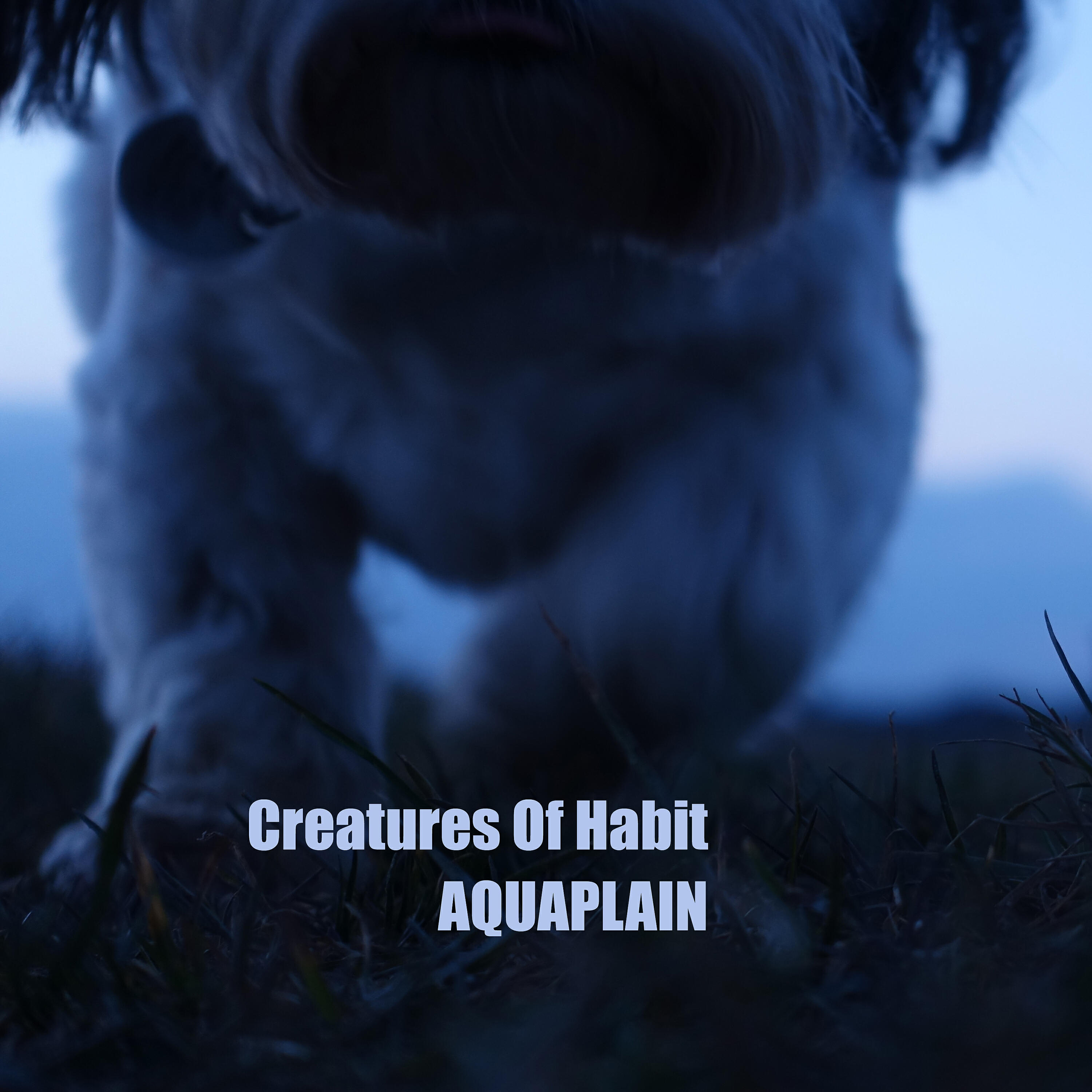 Релиз Creatures of Habit