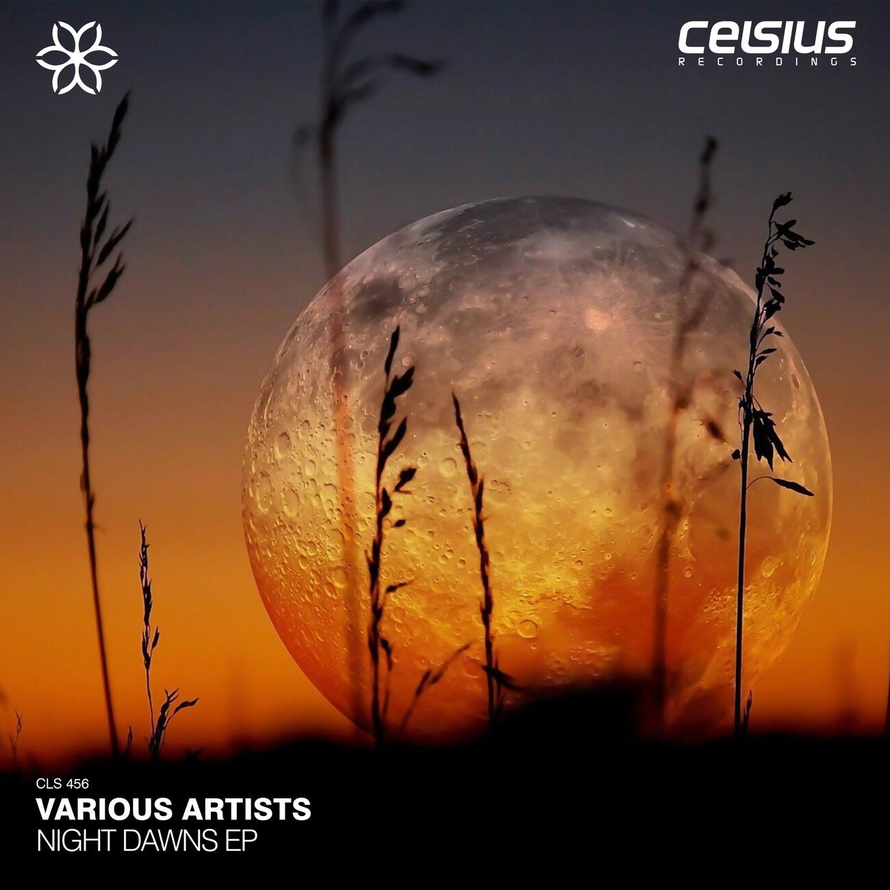 Релиз Night Dawns EP