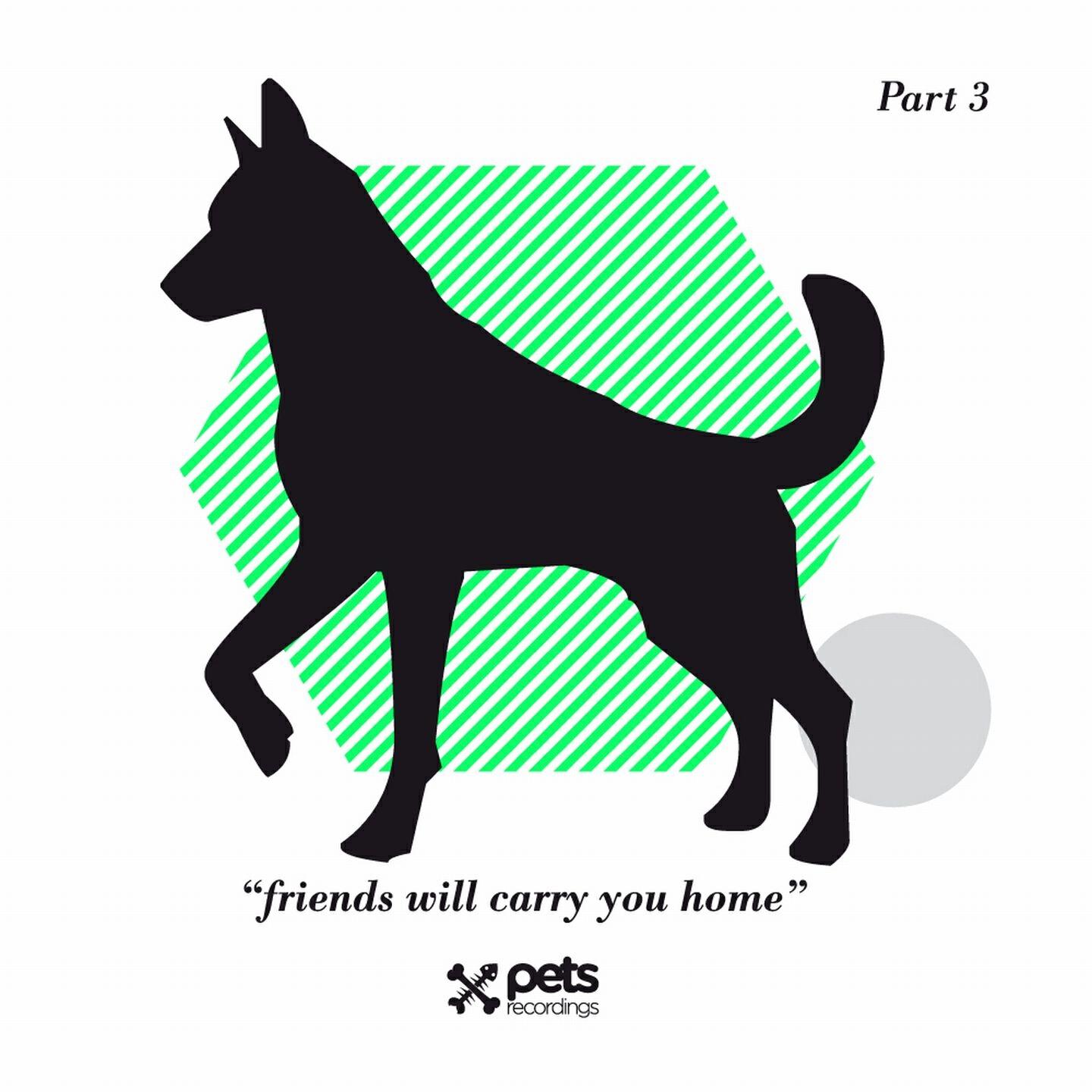 Релиз Friends Will Carry You Home Part 3