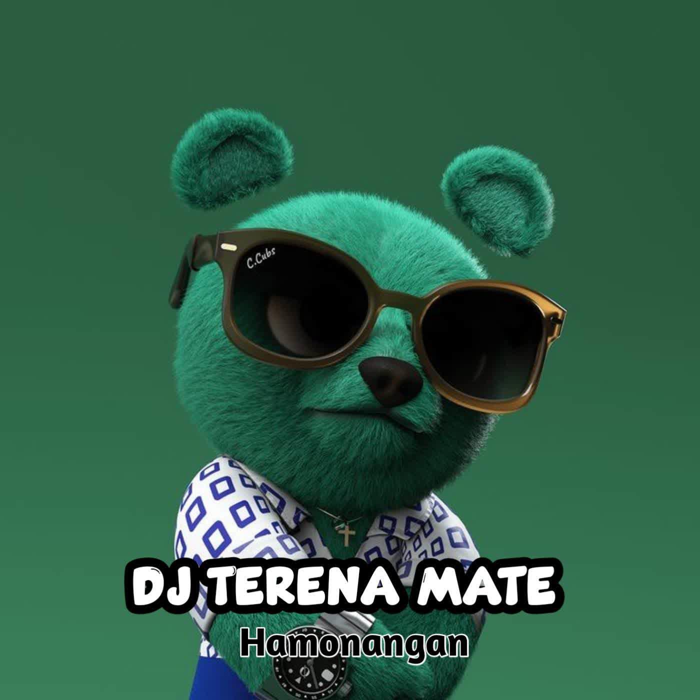 Релиз DJ TERENA METTE KANE - Inst