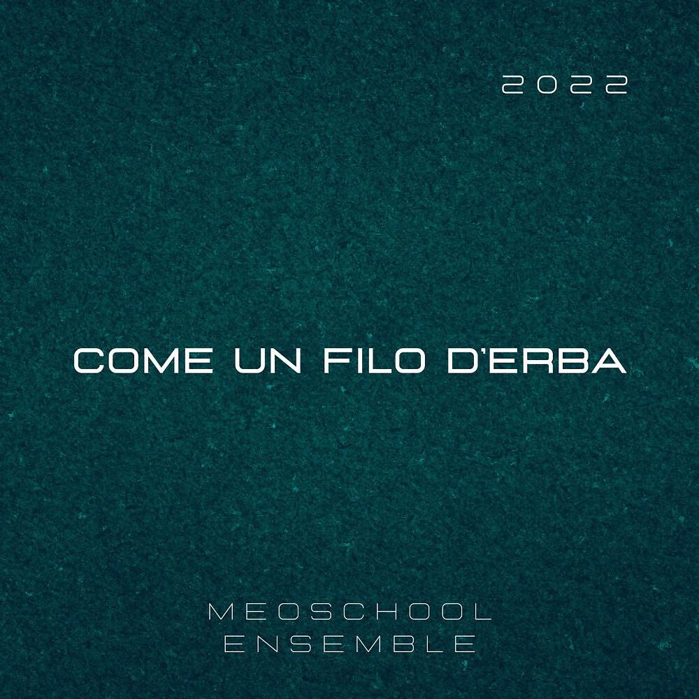 Релиз Come un filo d'erba
