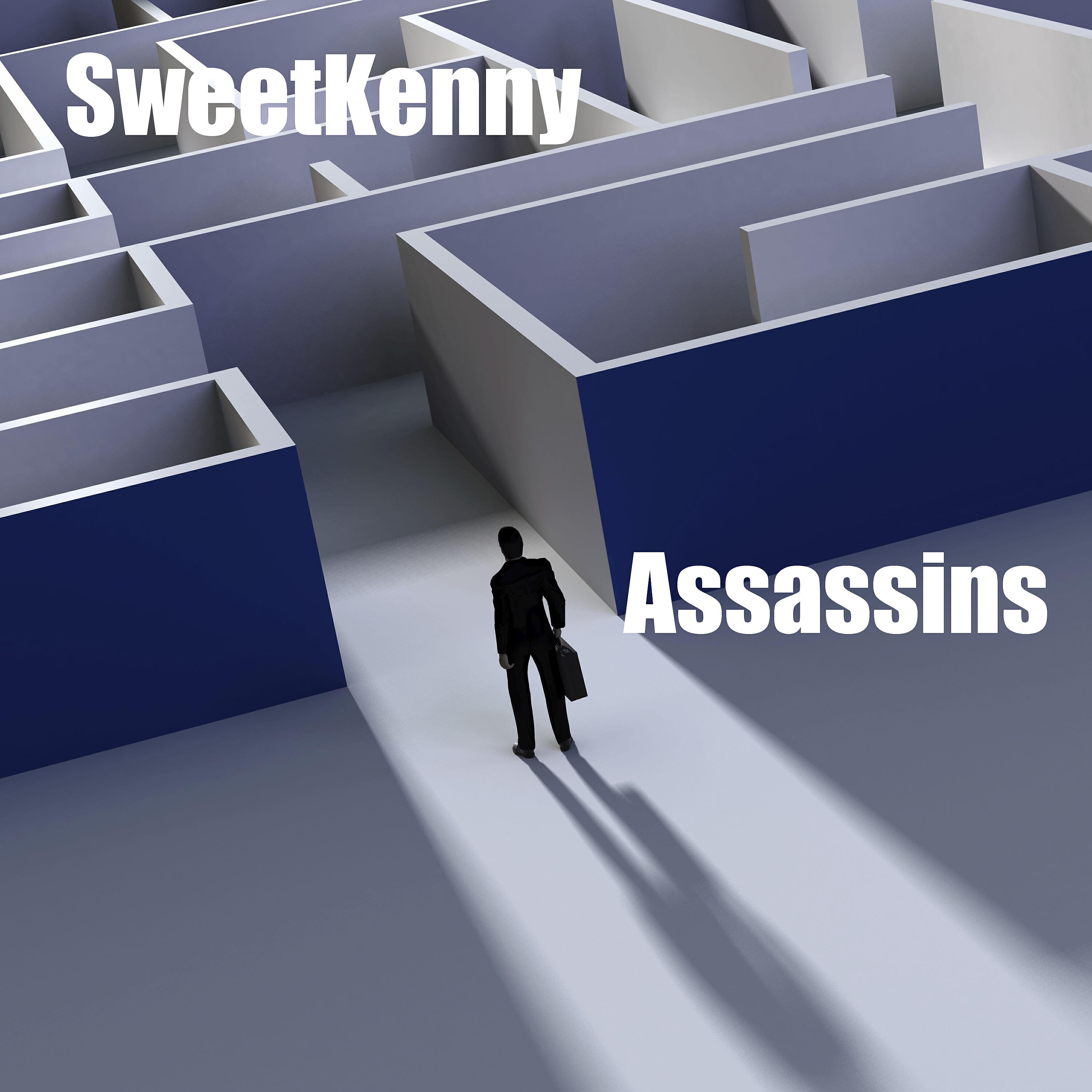 Релиз Assassins
