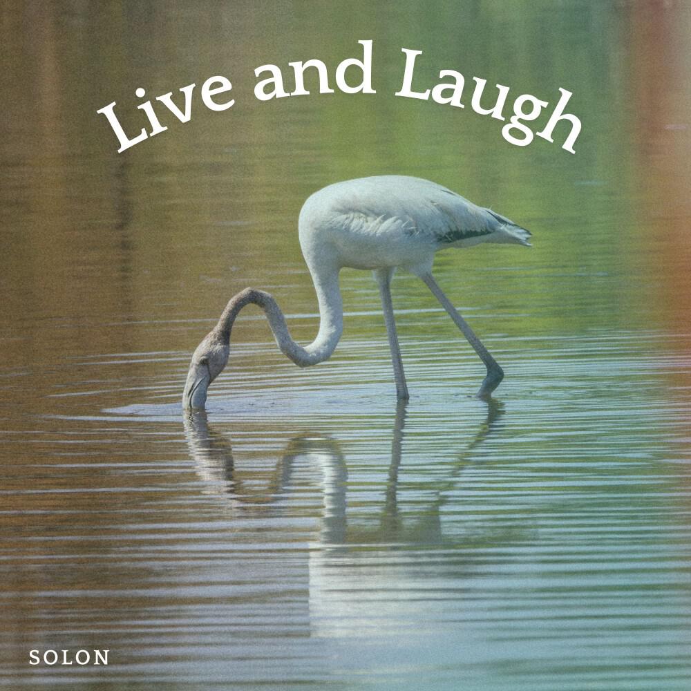 Релиз Live and Laugh