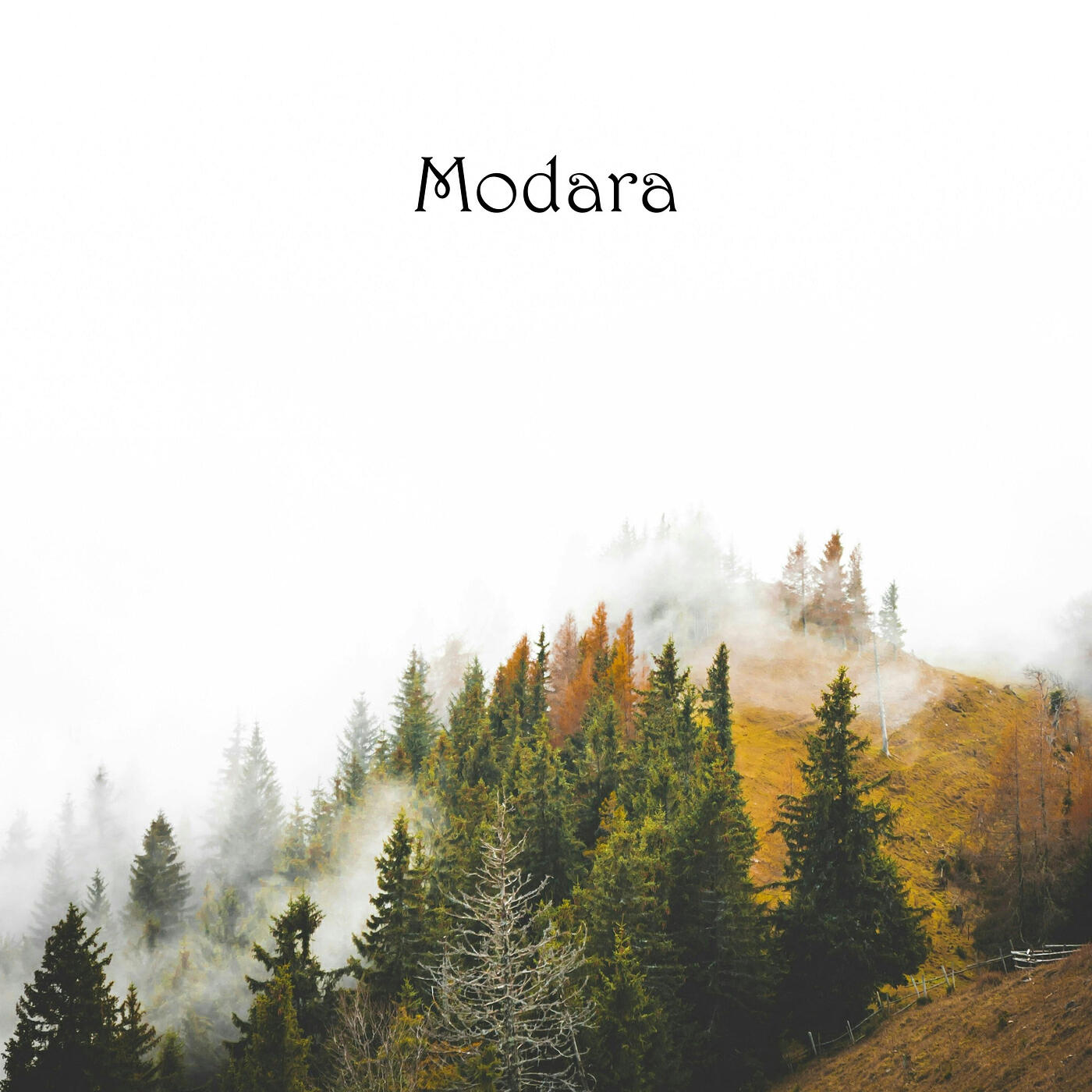 Релиз Modara