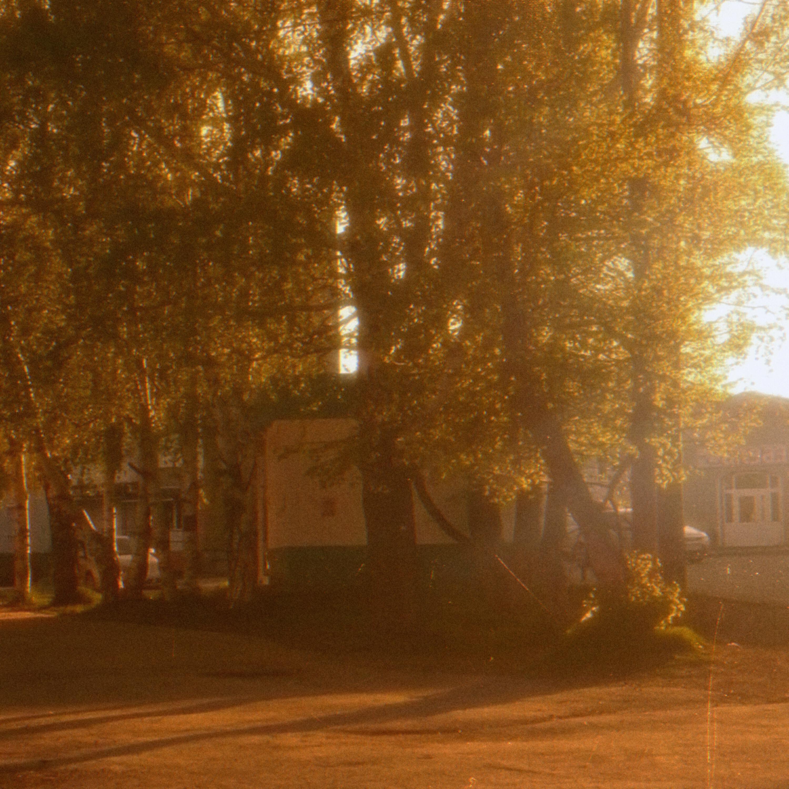 Релиз golden filament