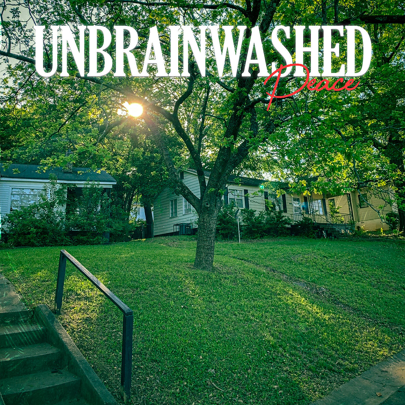 Релиз UnBrainwashed Peace