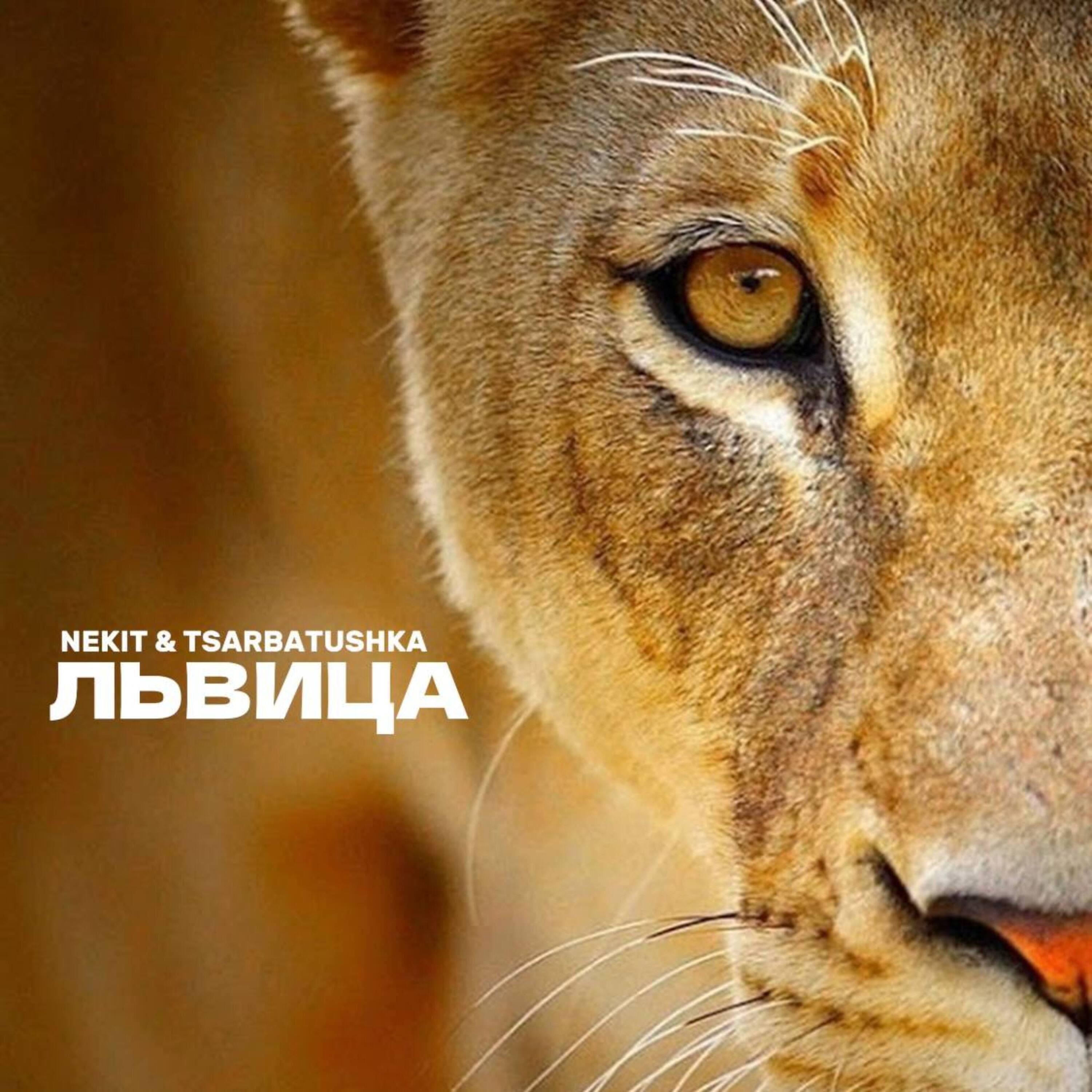 Постер альбома Львица