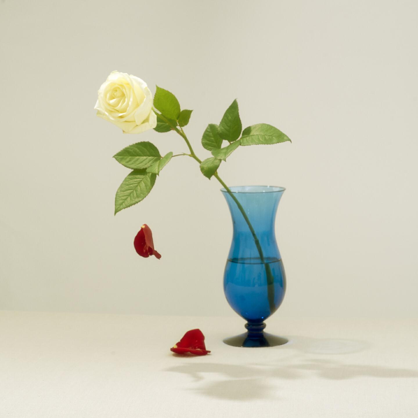 Релиз Declaration of Love
