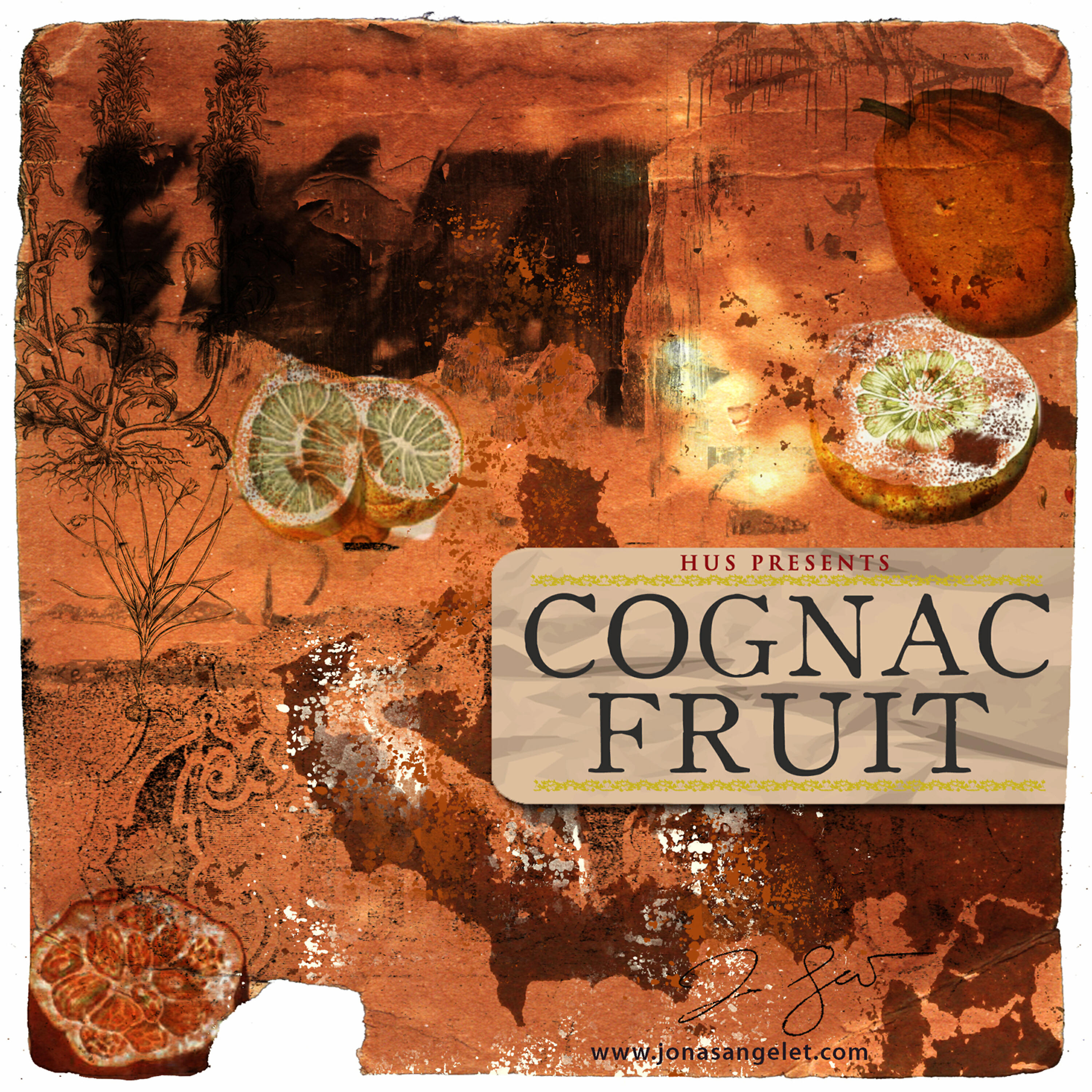 Релиз Cognac Fruit