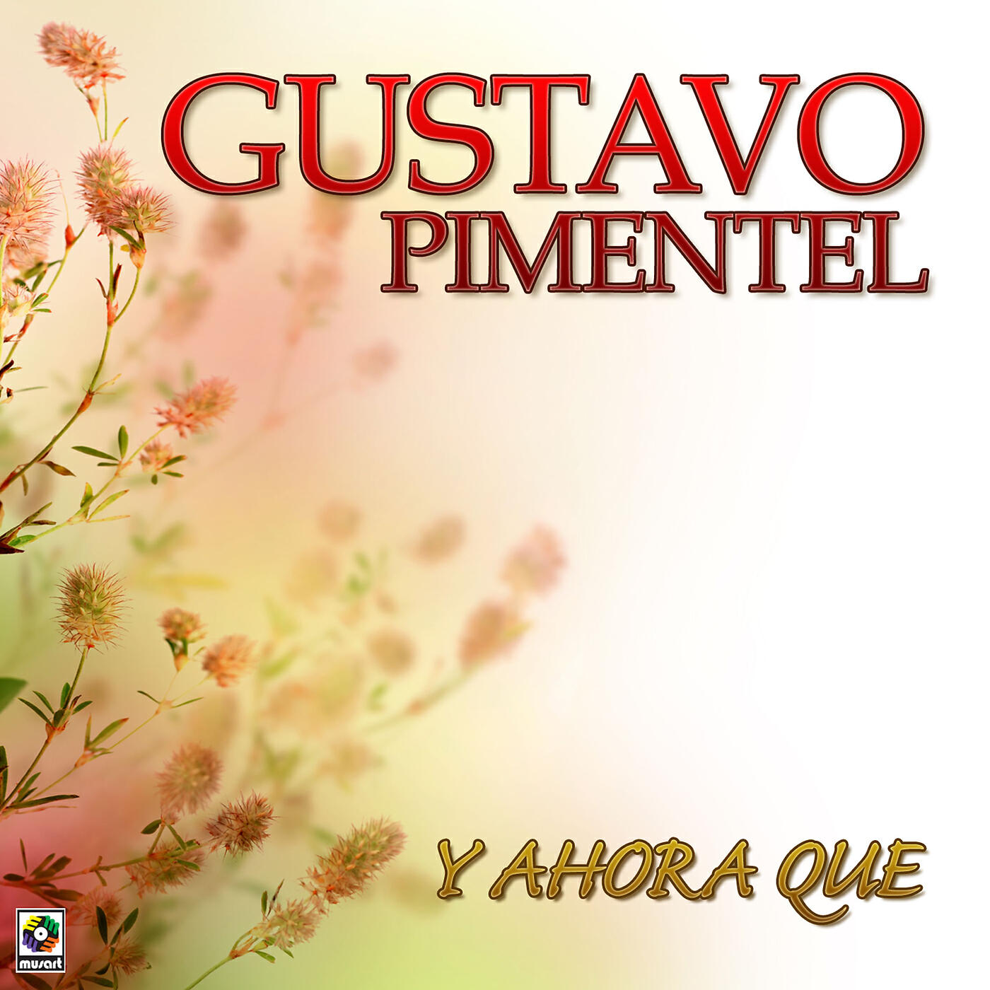 Gustavo Pimentel