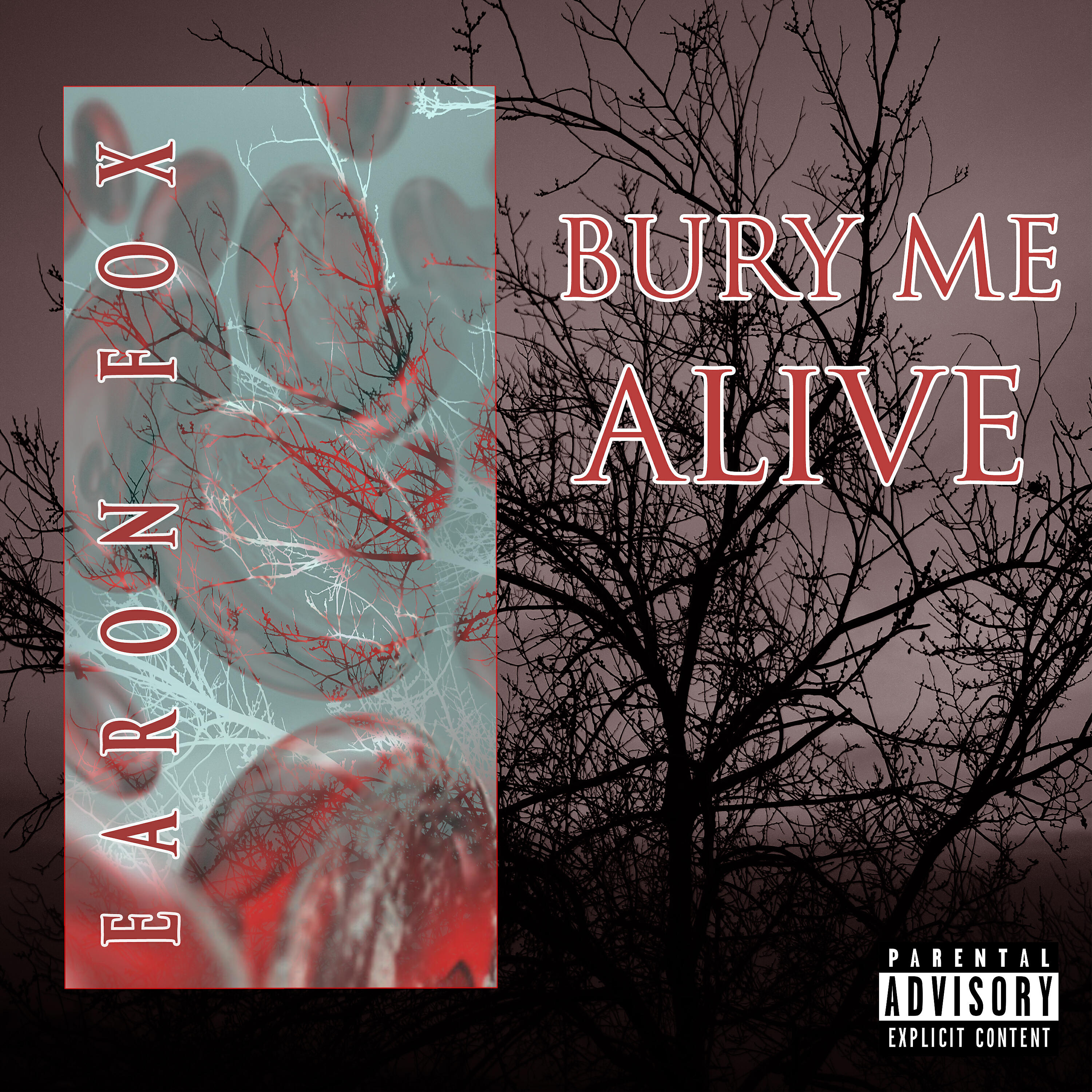 Релиз Bury Me Alive