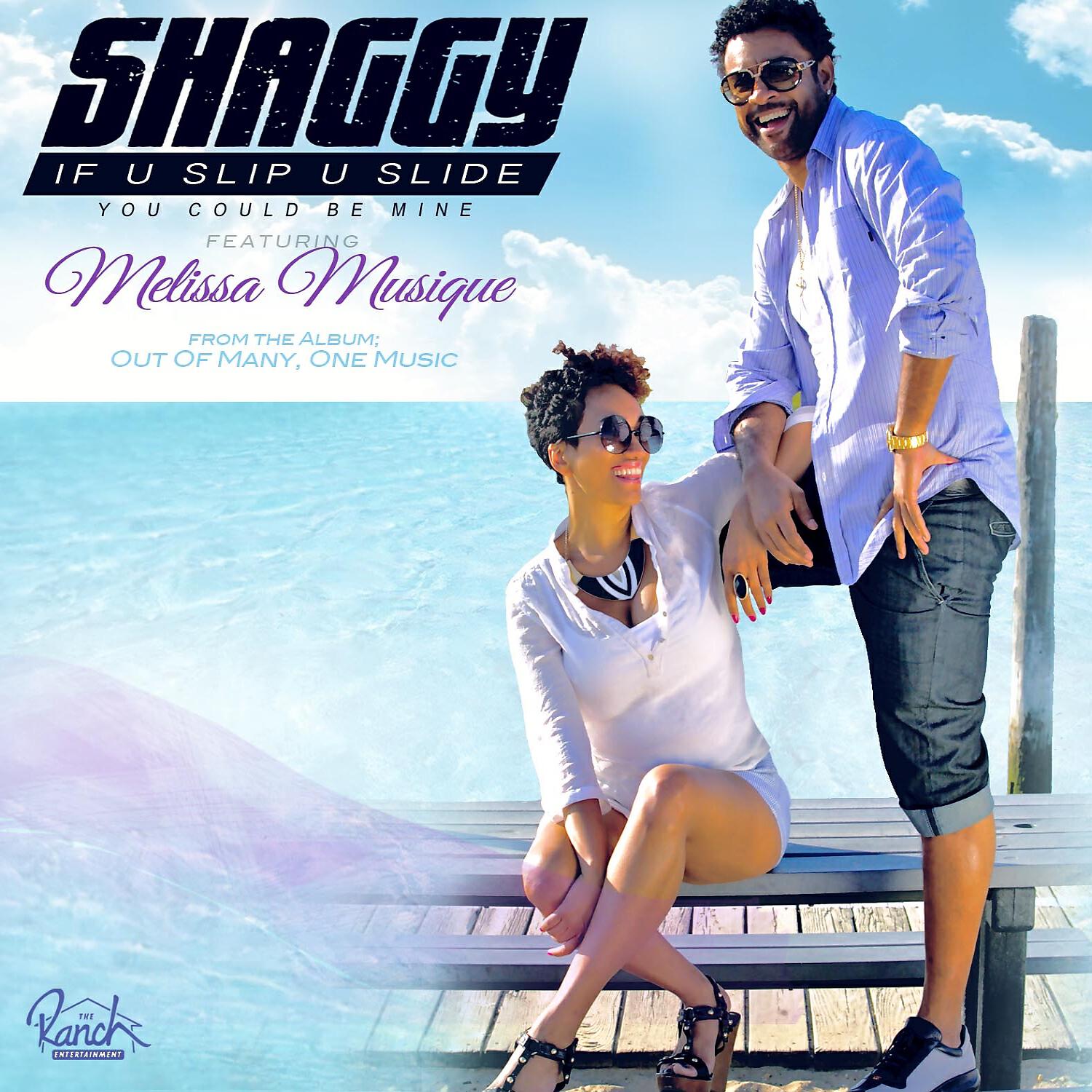 Релиз If U Slip U Slide (You Could Be Mine) (feat. Melissa Musique) - Single