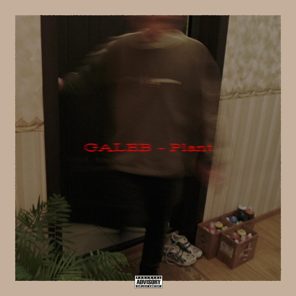 Релиз Plant