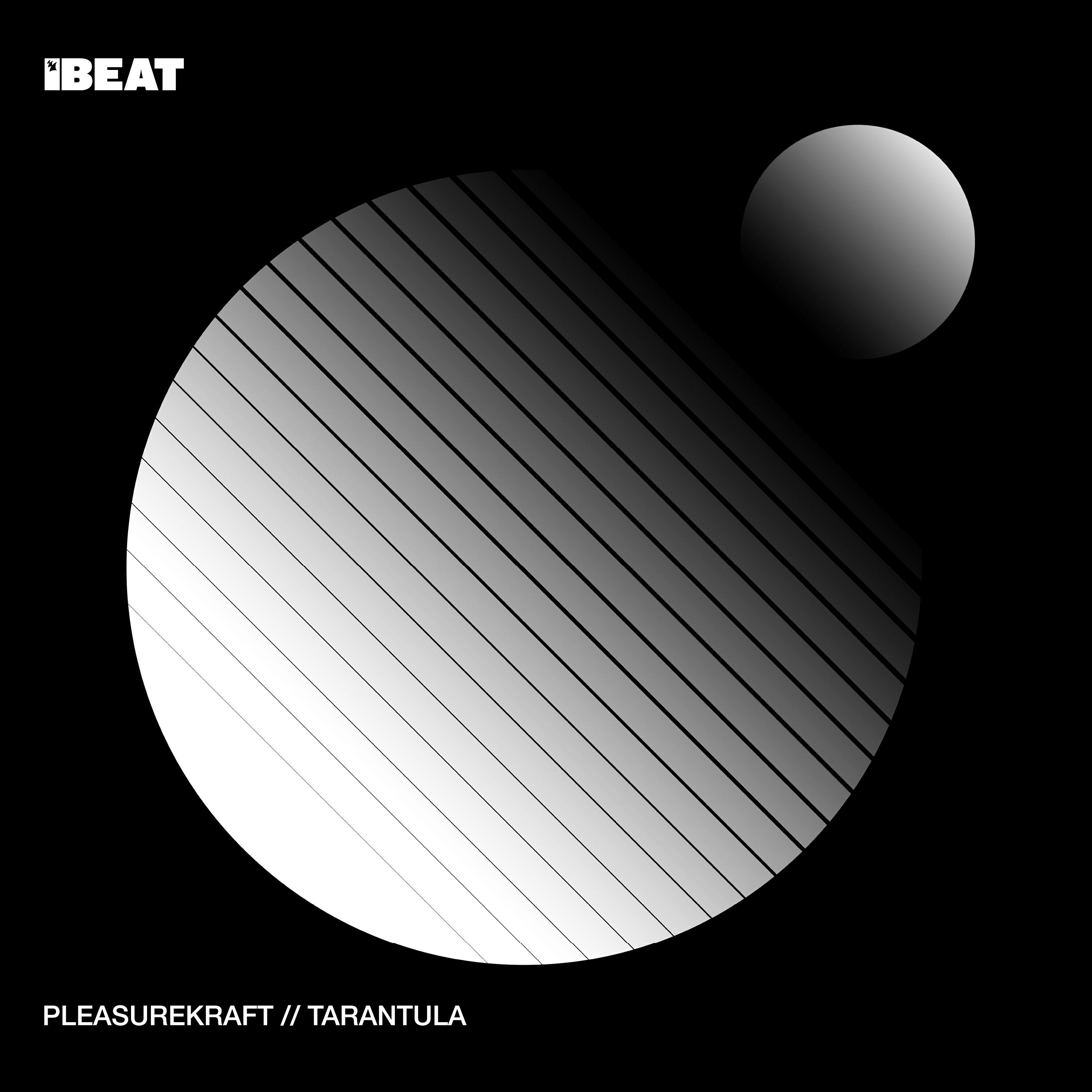 Релиз Tarantula (7 Year Itch Rework)