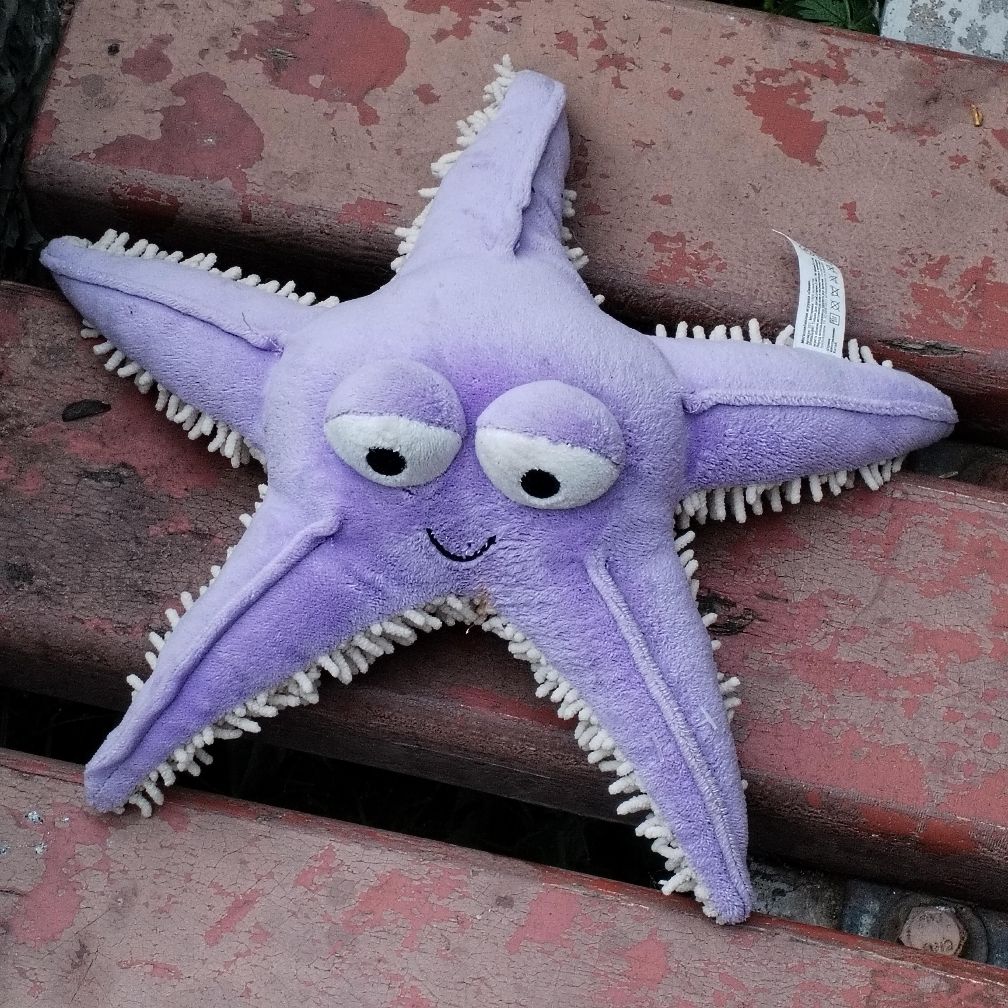 Релиз D K Y F (feat. Cyanboy)