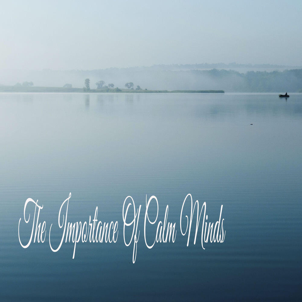 Релиз The Importance Of Calm Minds