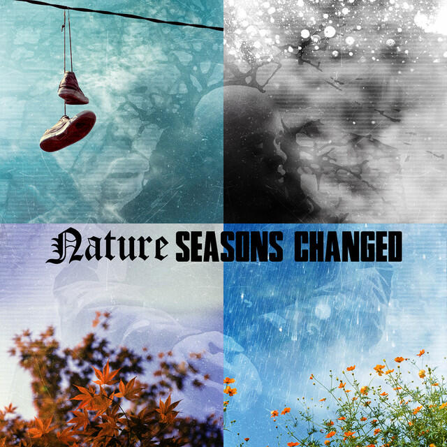 Релиз Seasons Changed