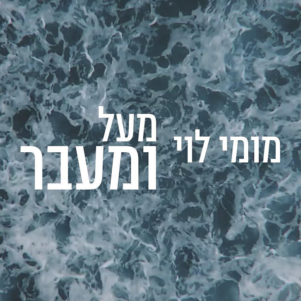 Momy Levy