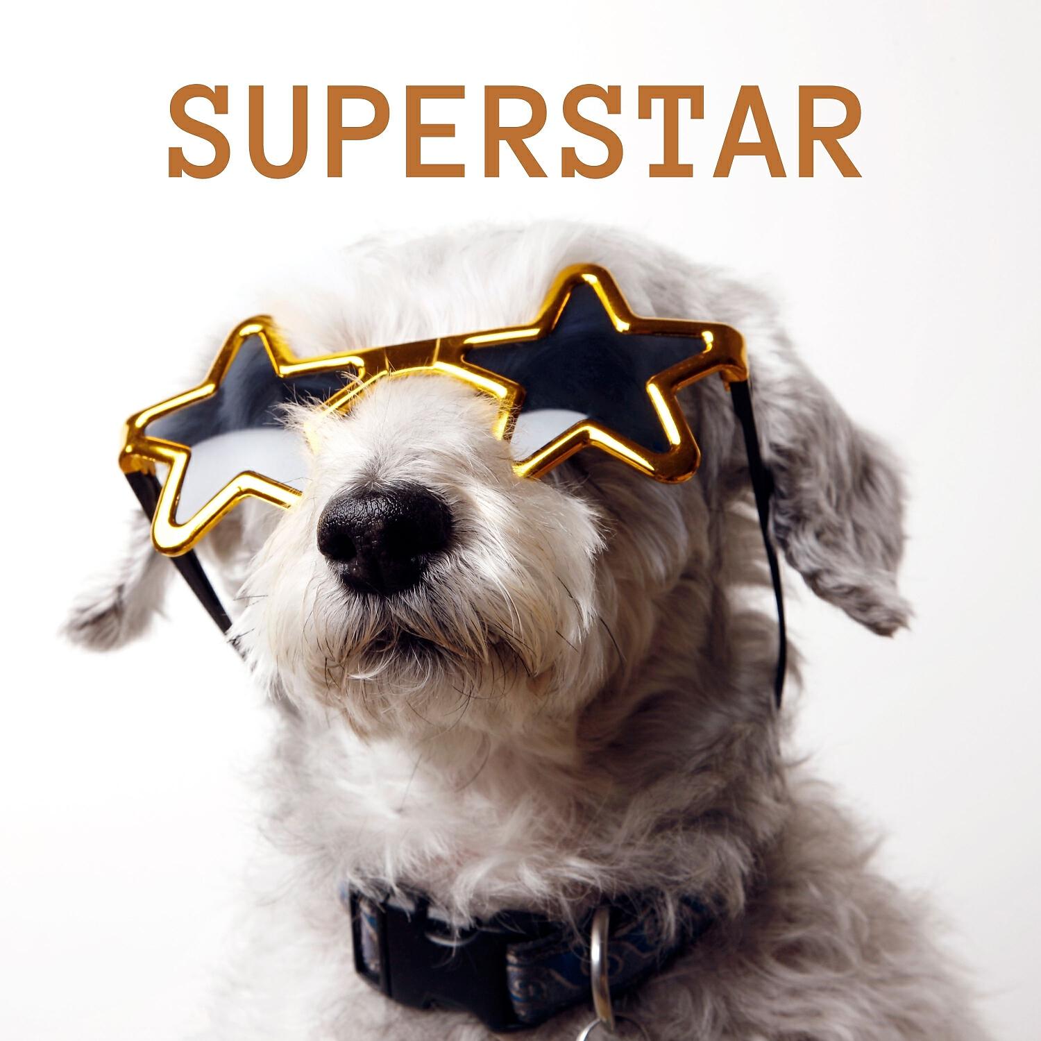 Релиз Superstar