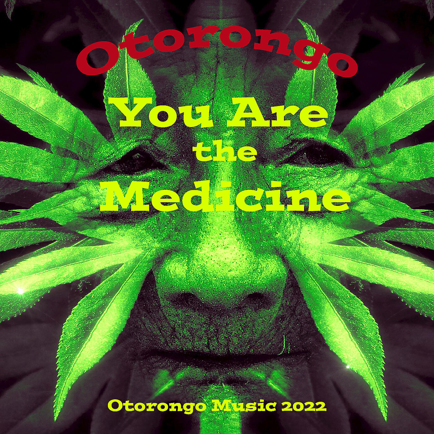 Релиз You Are the Medicine