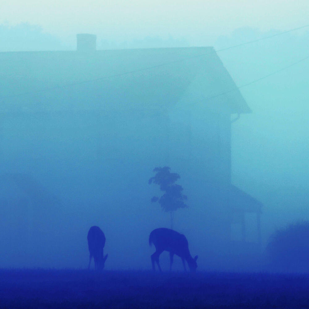 Релиз Songs for Ghosts