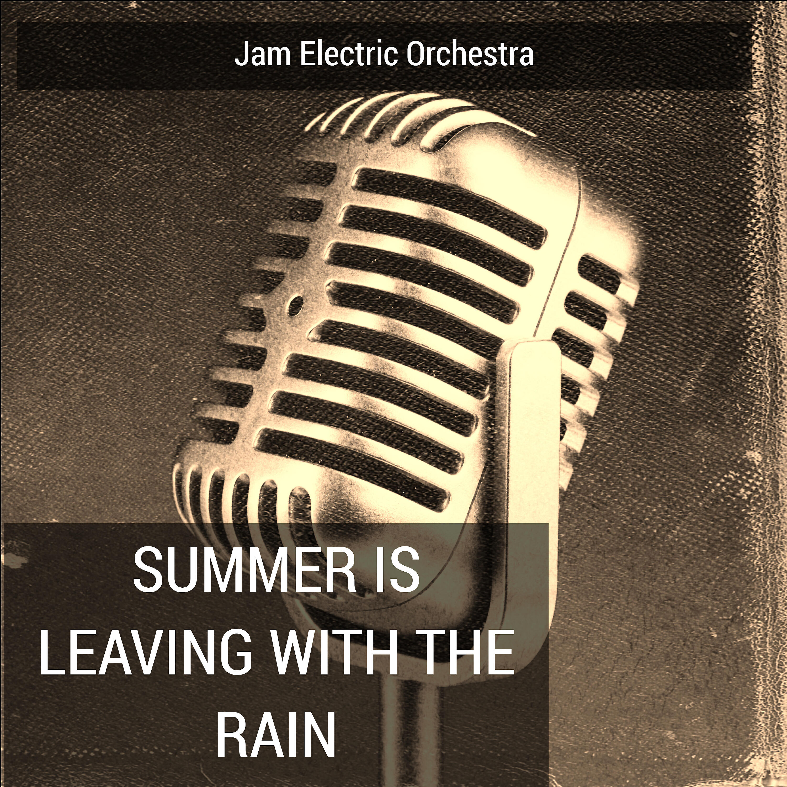 Релиз Summer Is Leaving with the Rain