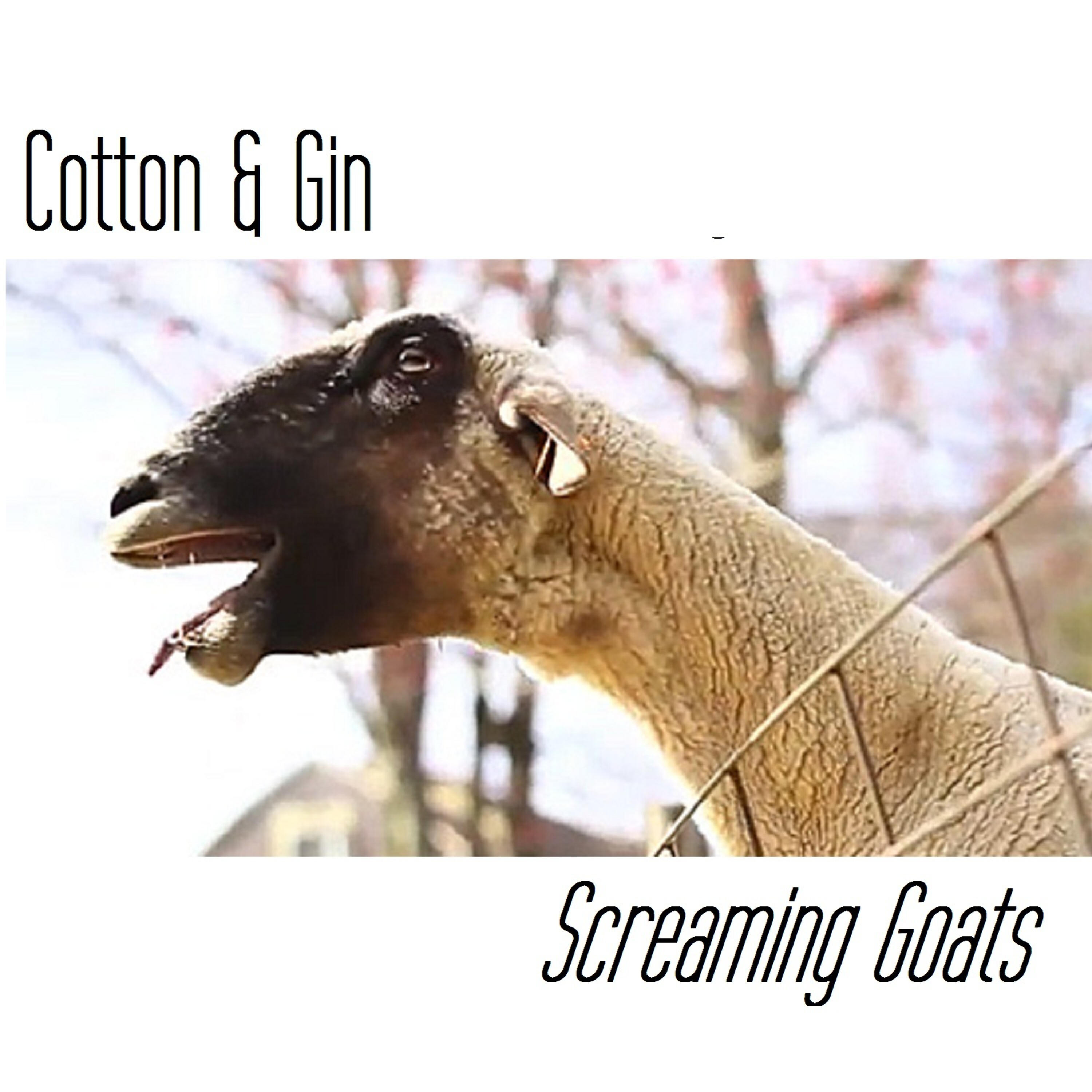 Релиз Screaming Goats