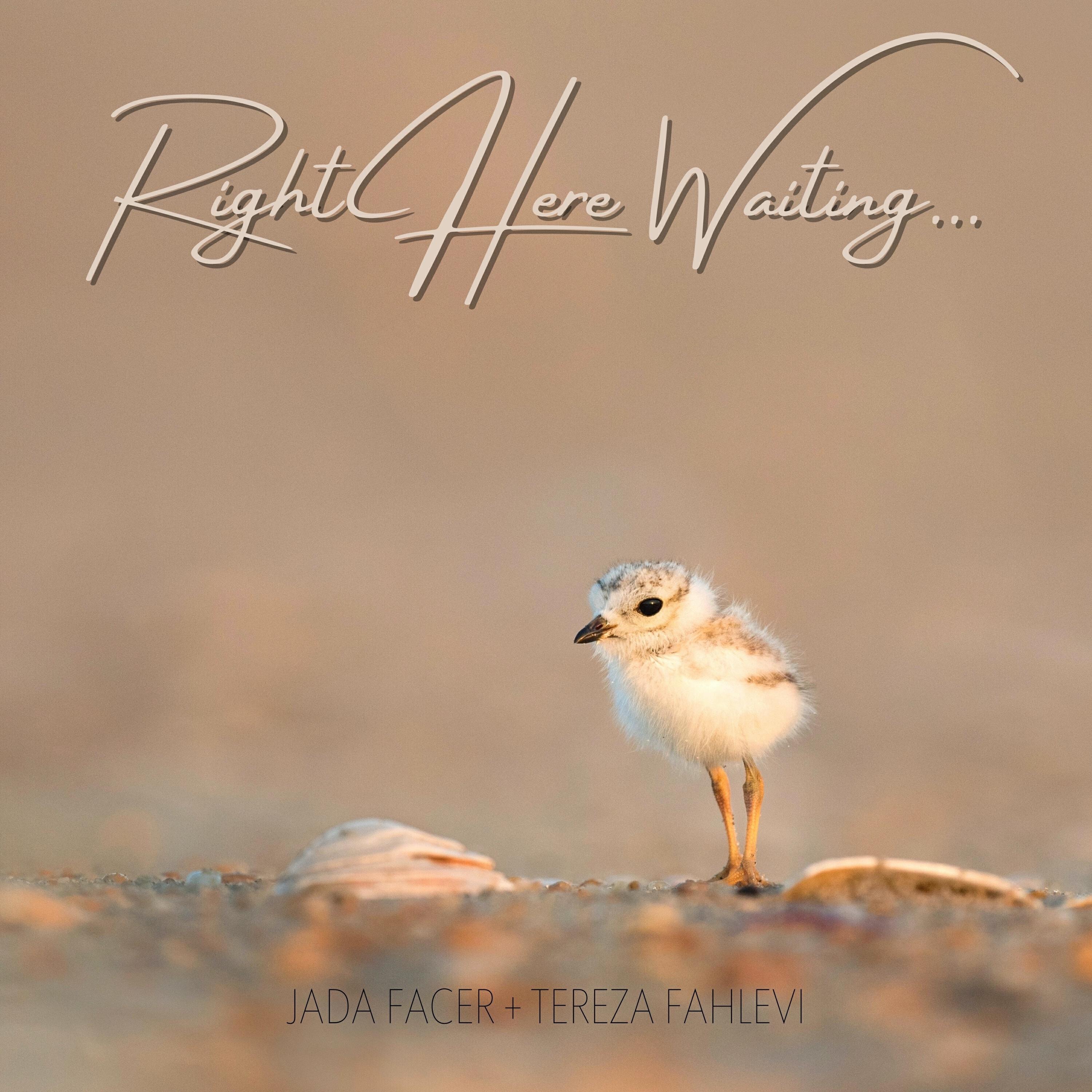 Релиз Right Here Waiting (Acoustic)