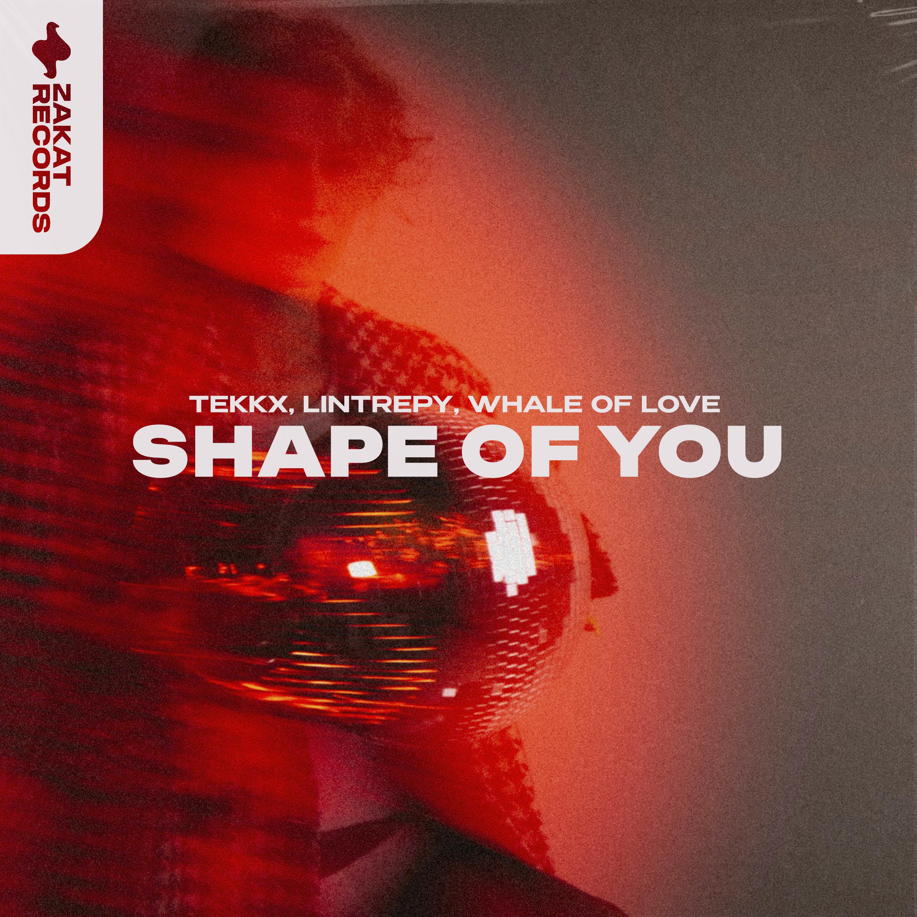 Постер альбома Shape of You