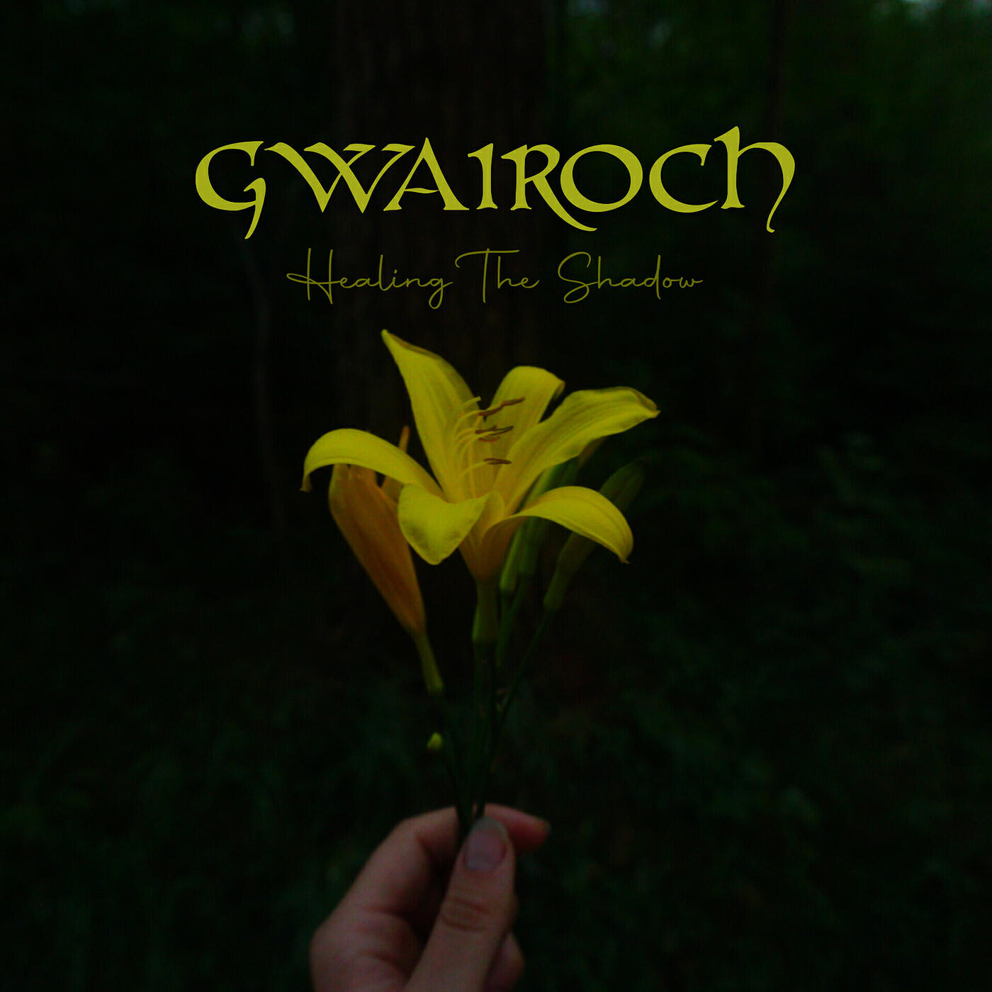 Релиз Healing The Shadow